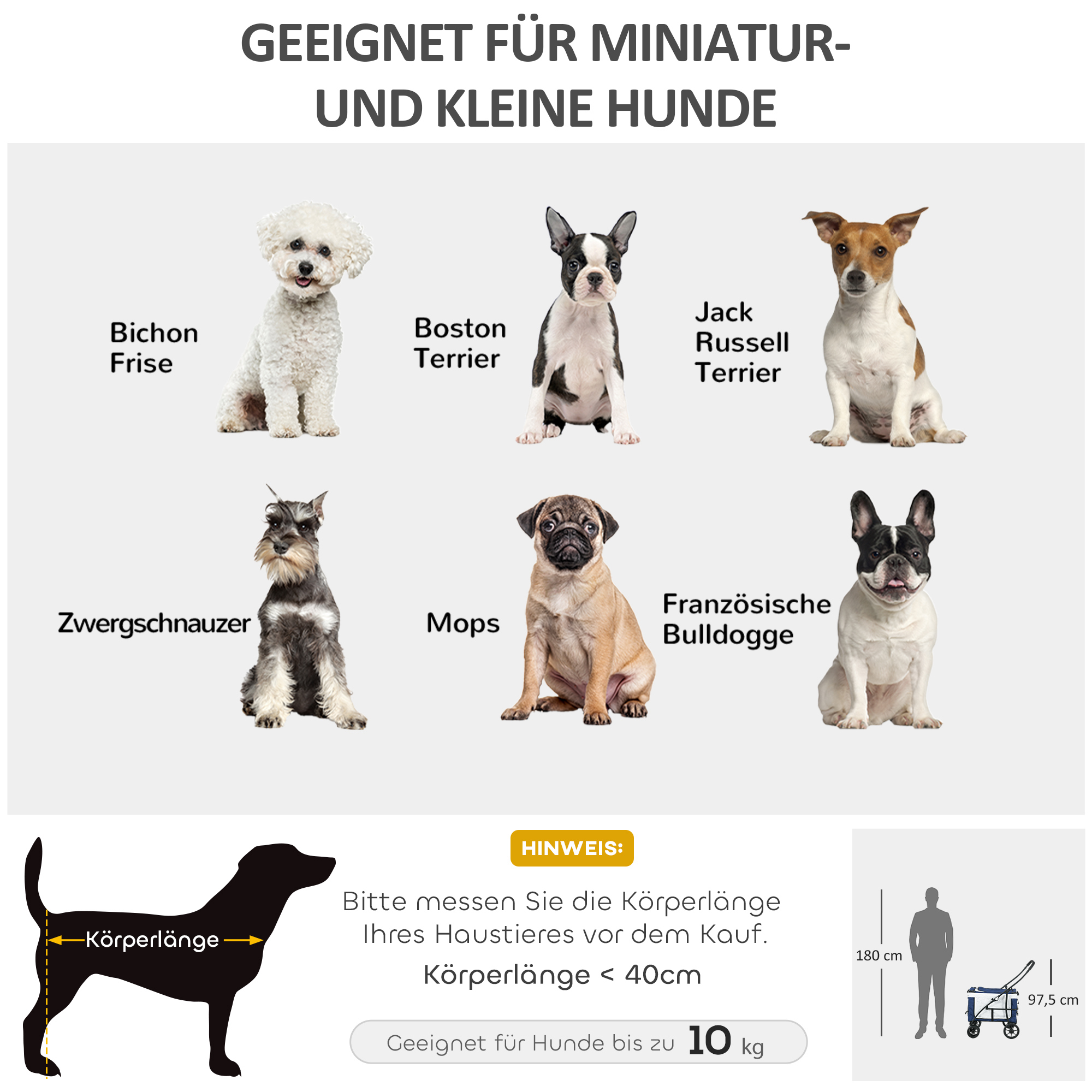 Bild zeigt verschiedene Hunderassen, die für kleine Hunde bis 10 kg geeignet sind. Text auf Deutsch.