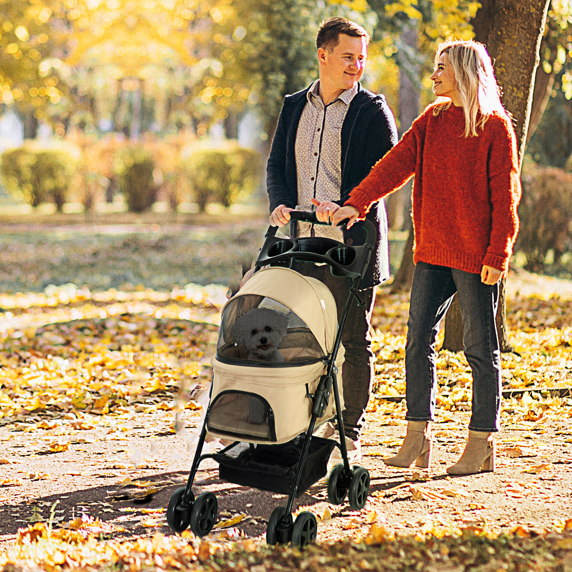 Ein Paar geht in einem Park mit einem Tierkinderwagen spazieren, ein Hund darin. Herbstblätter am Boden.