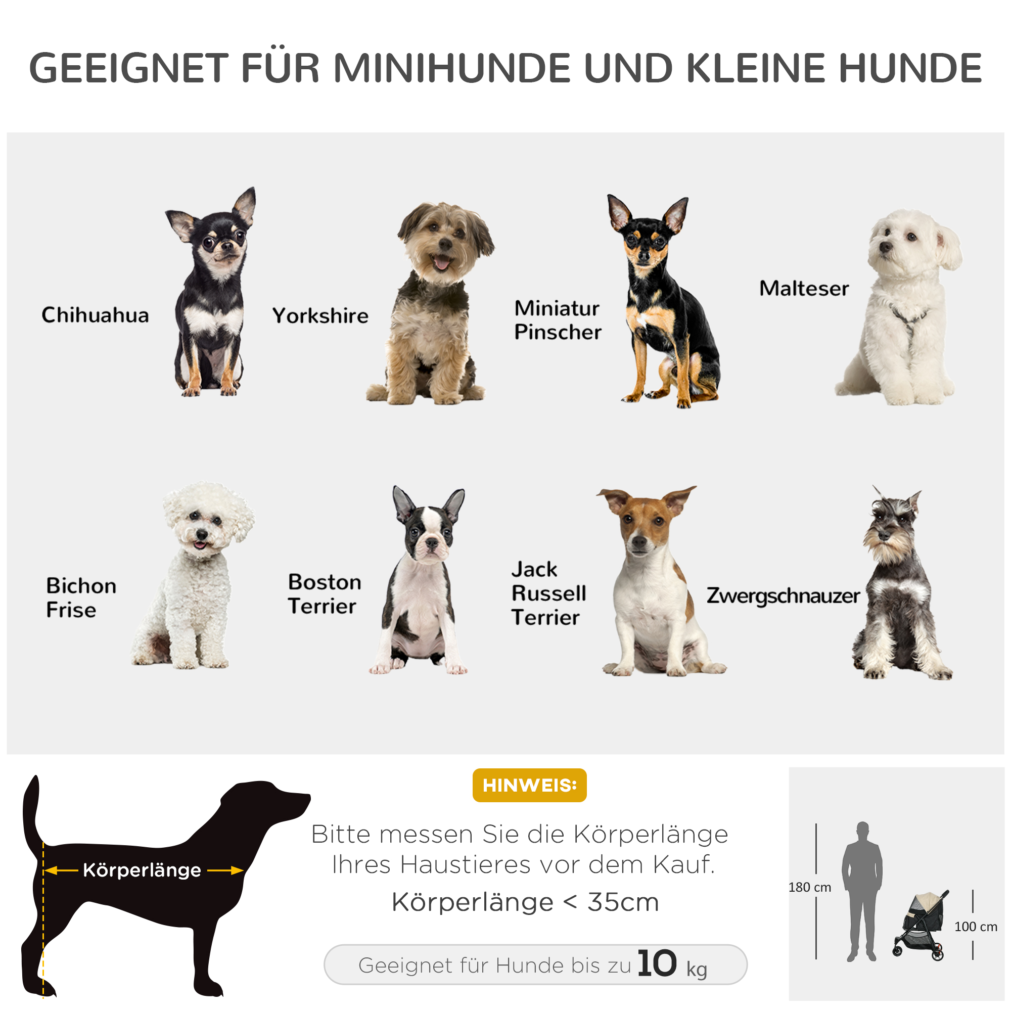 Das Bild zeigt verschiedene Hunderassen mit Größen- und Gewichtsempfehlungen für Miniatur- und kleine Hunde.