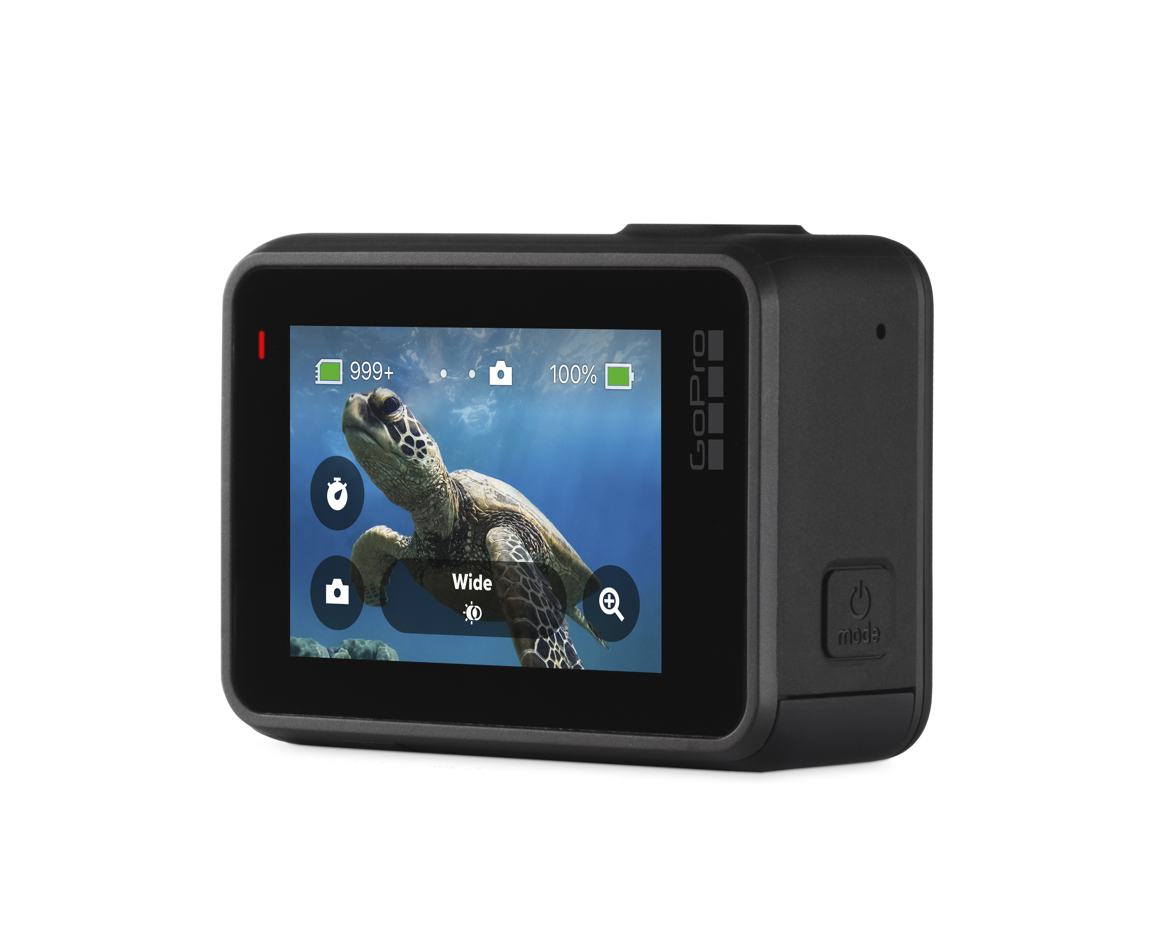 Schwarze GoPro Hero 7 Kamera, zeigt ein Schildkrötenvideo auf dem Bildschirm mit 4K 60W-Info.