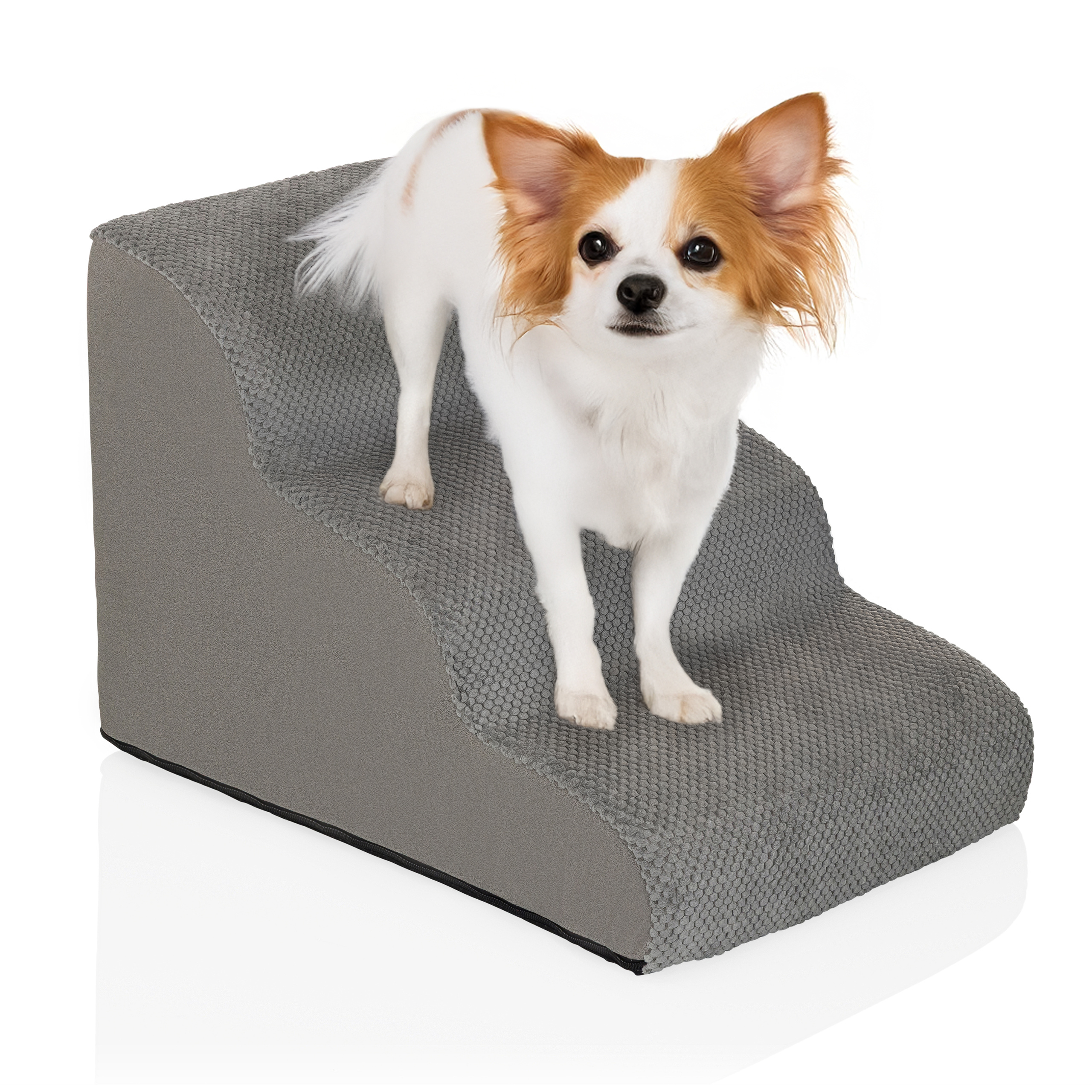 Hund, der auf graue Hundetreppe klettert.