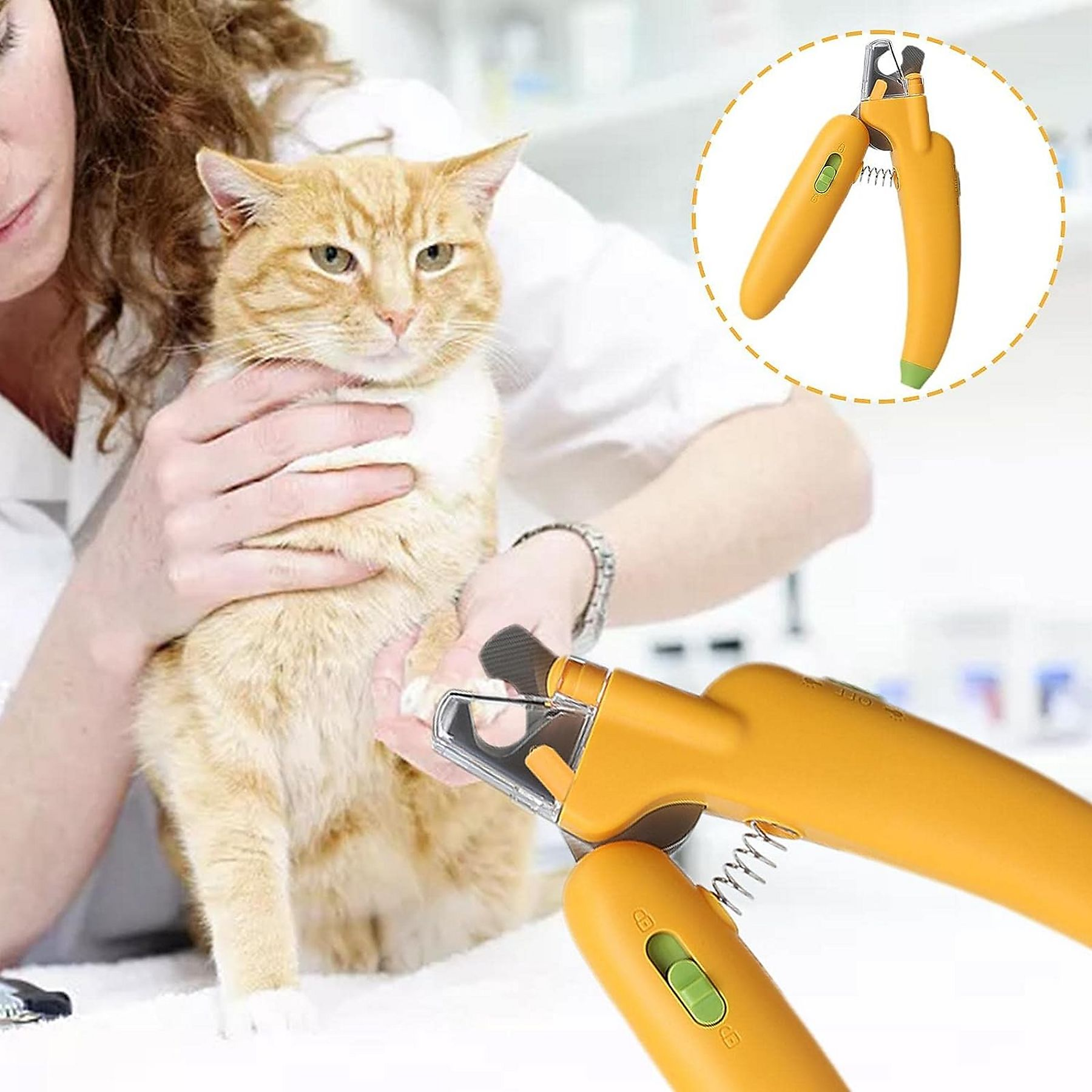 Person schneidet Katze die Krallen mit einer orangenen Schere.