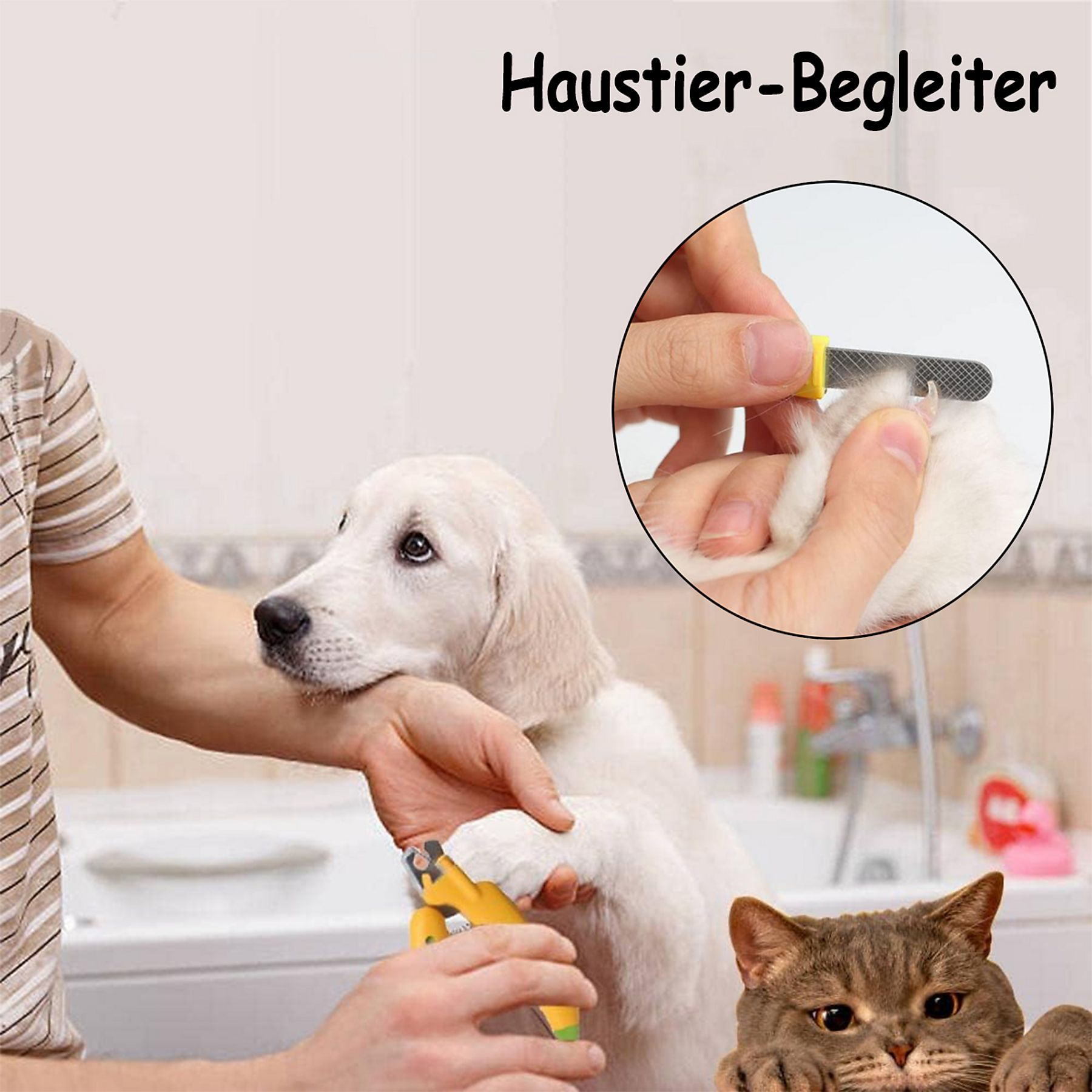 Eine Person schneidet die Nägel eines weißen Hundes mit gelben Scheren. Eine Katze ist im Vordergrund.