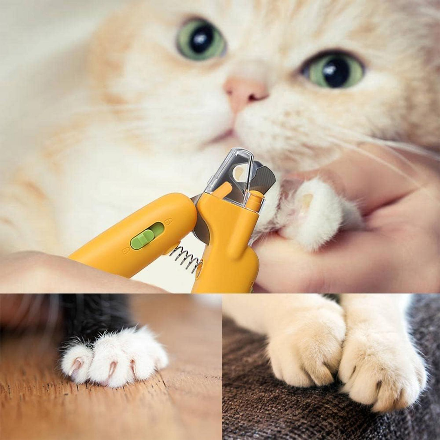 Eine Person benutzt eine Schere, um die Nägel einer Katze zu schneiden. Nahaufnahmen zeigen Schere und Katzenpfoten.