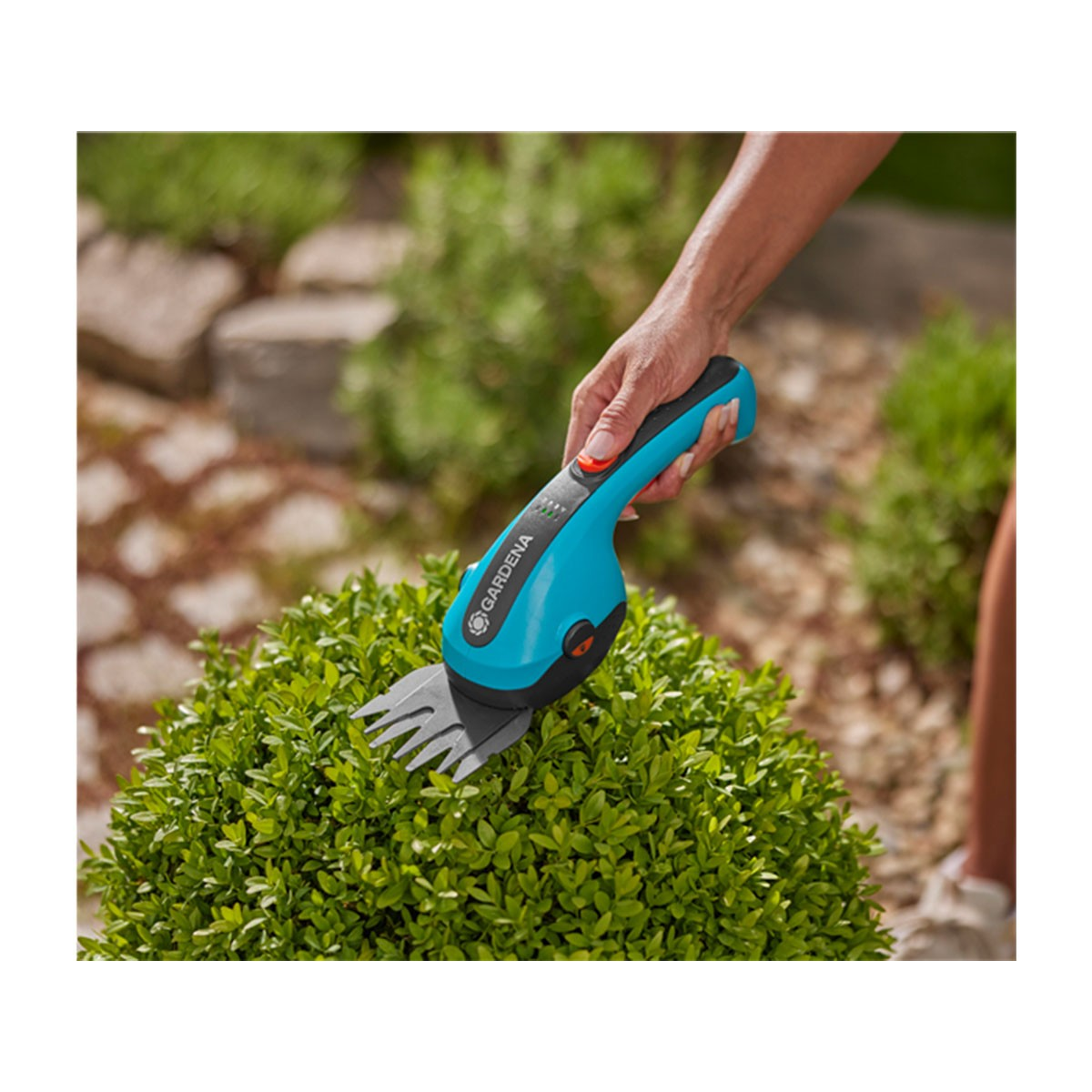Osoba przycina zielony krzew niebiesko-czarnymi nożycami do żywopłotu Gardena.