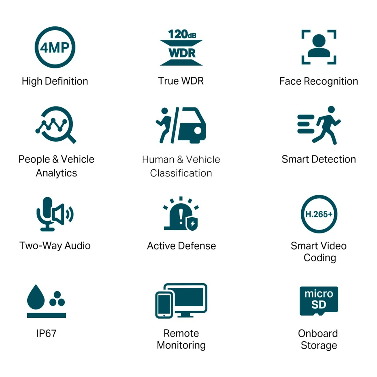 Ikony funkcji kamery bezpieczeństwa, w tym wysokiej rozdzielczości, rozpoznawania twarzy i zdalnego monitorowania.