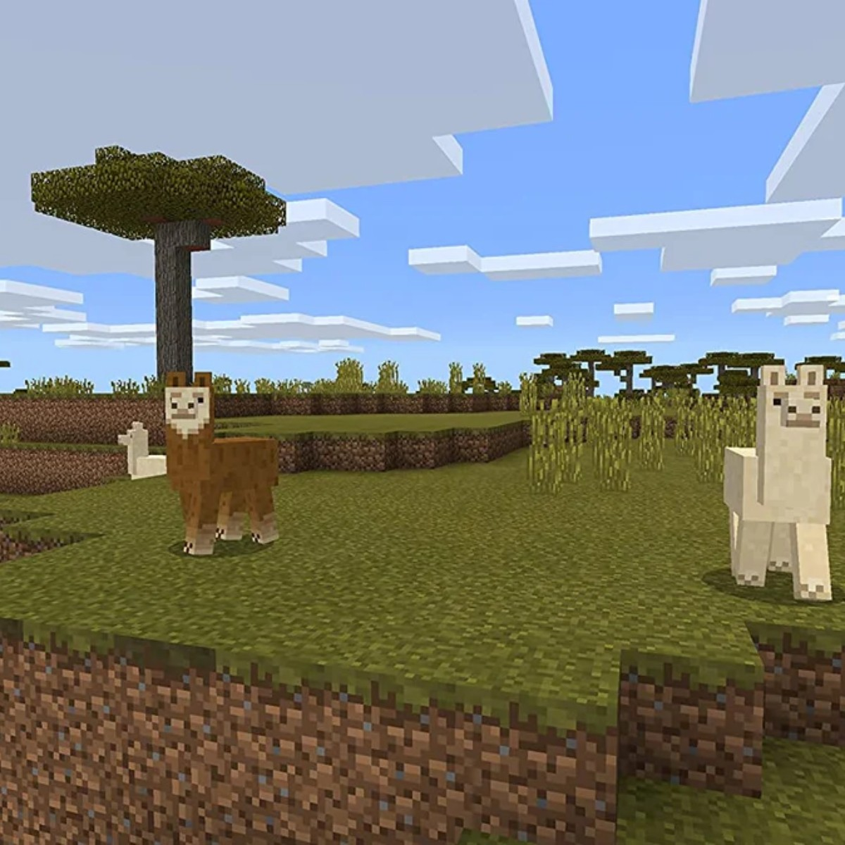 Dwie lamy w krajobrazie w stylu Minecraft. Jedna brązowa, jedna biała, stoją na zielonej trawie.