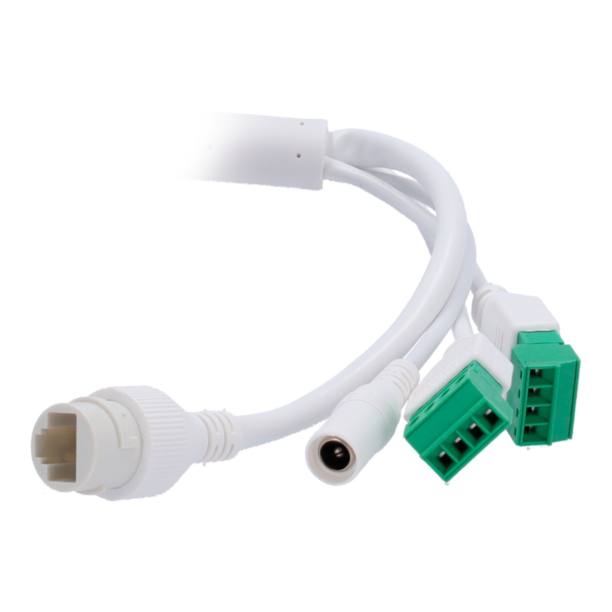 Cavi bianchi con connettori: RJ45, alimentazione e morsetti verdi.