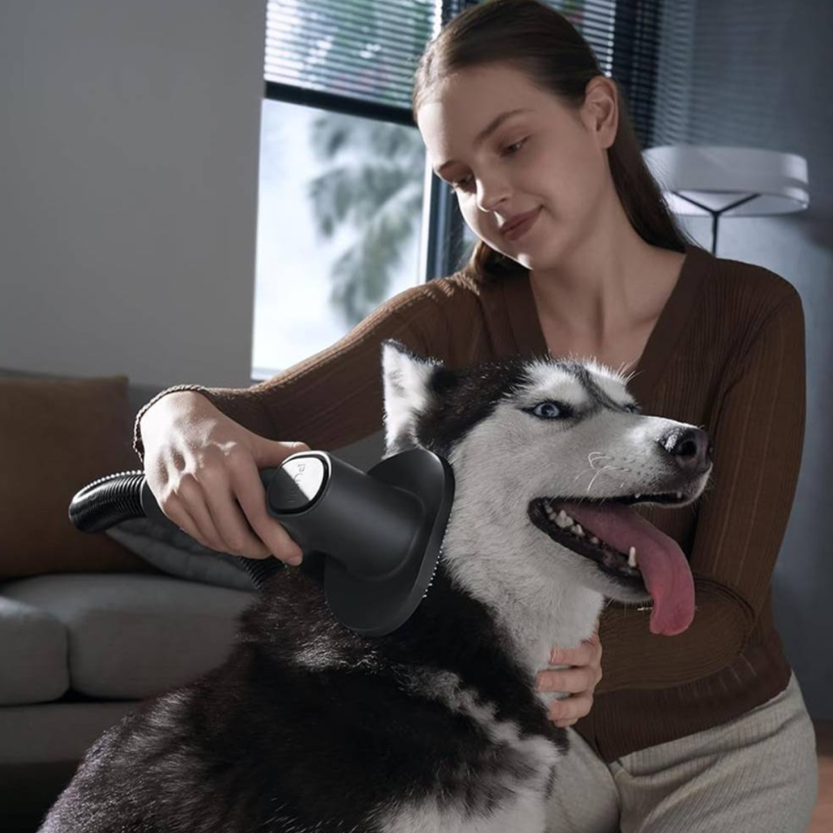 Kobieta szczotkuje czarno-białego psa odkurzaczem do sierści.