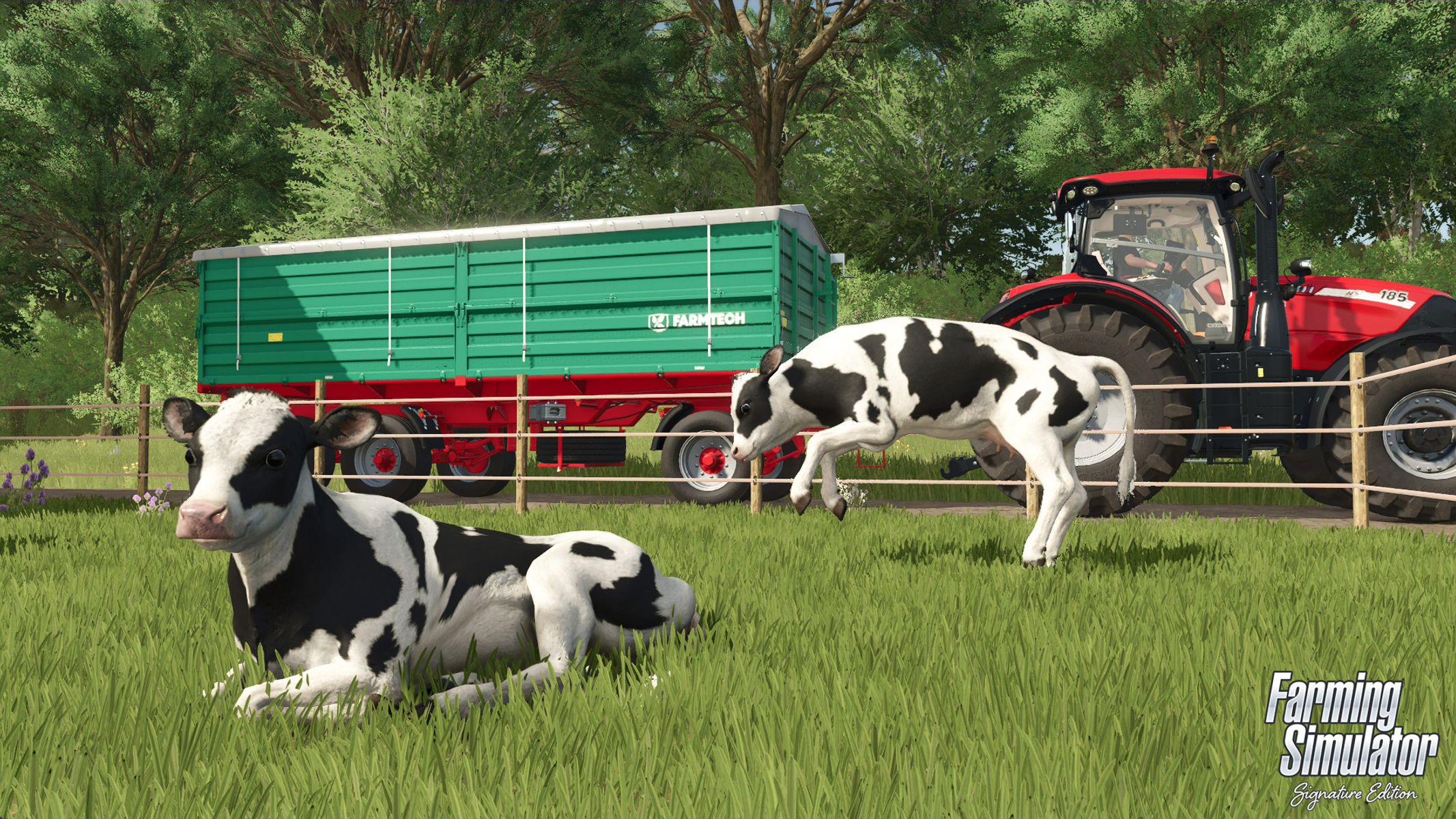 Dos vacas blancas y negras en un campo verde, con un tractor y remolque al fondo.