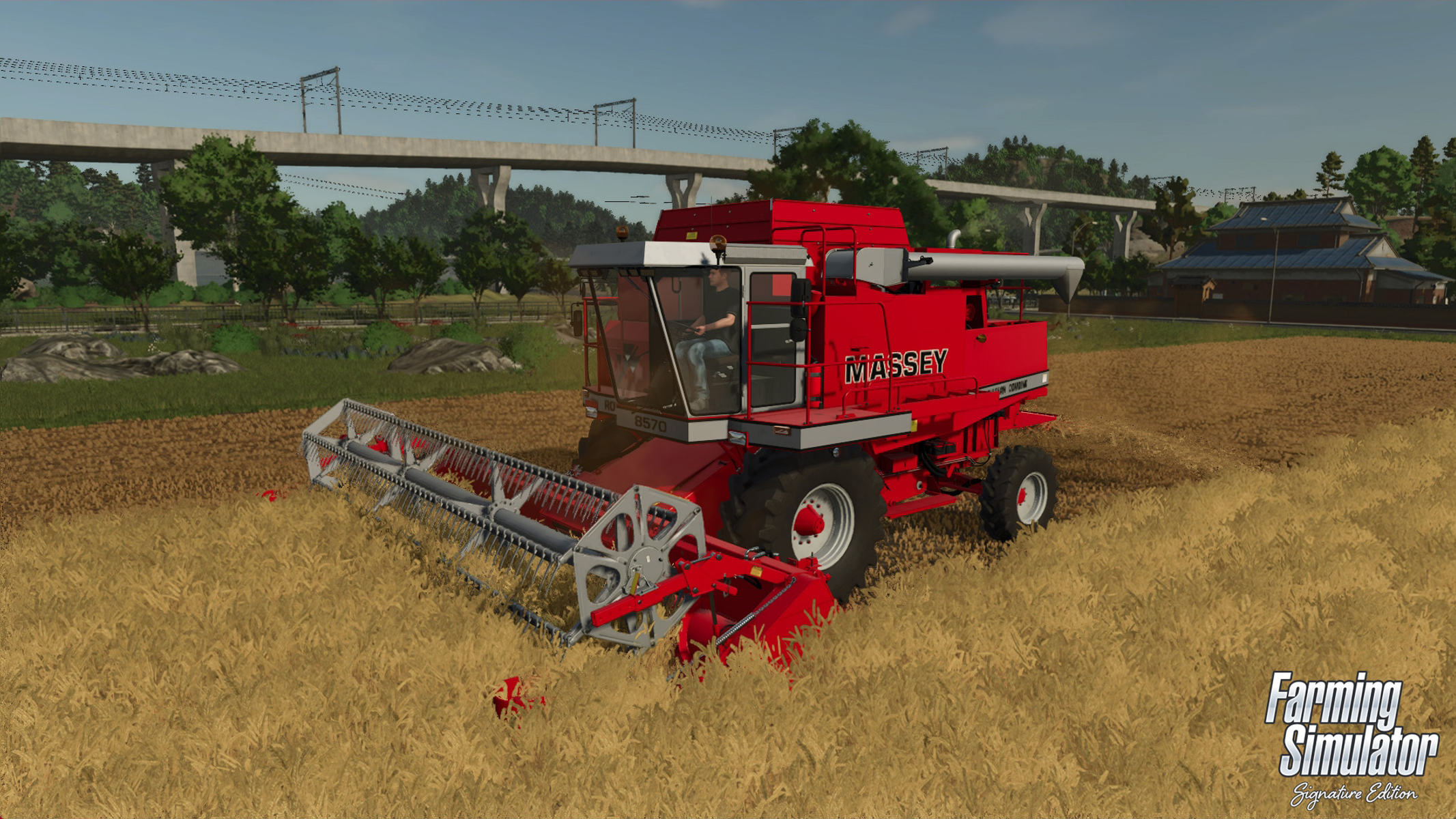Una cosechadora roja Massey está en un campo de trigo. Un puente ferroviario está al fondo.