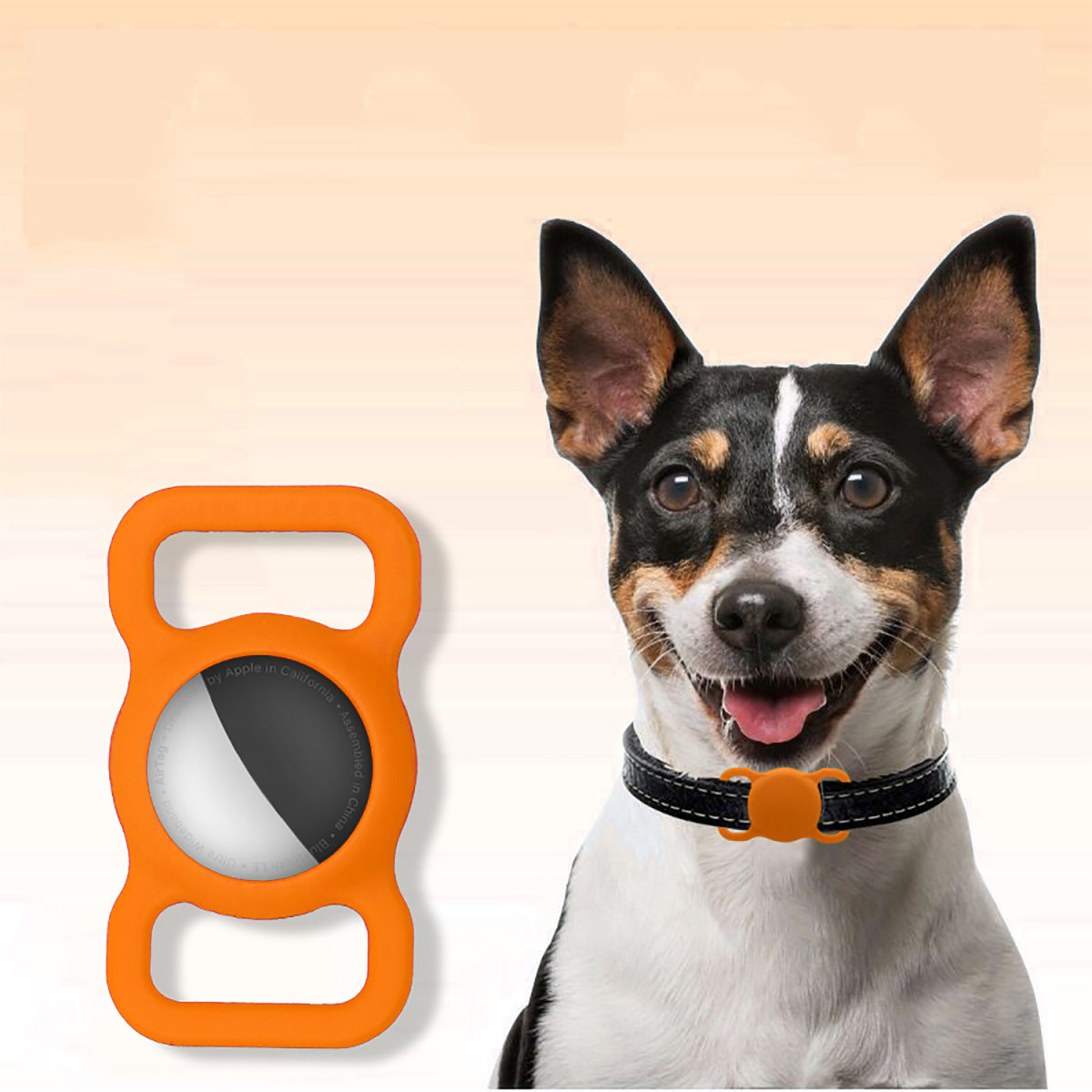 Un perro pequeño con una sonrisa que lleva un collar y una etiqueta naranja. Fondo melocotón claro.