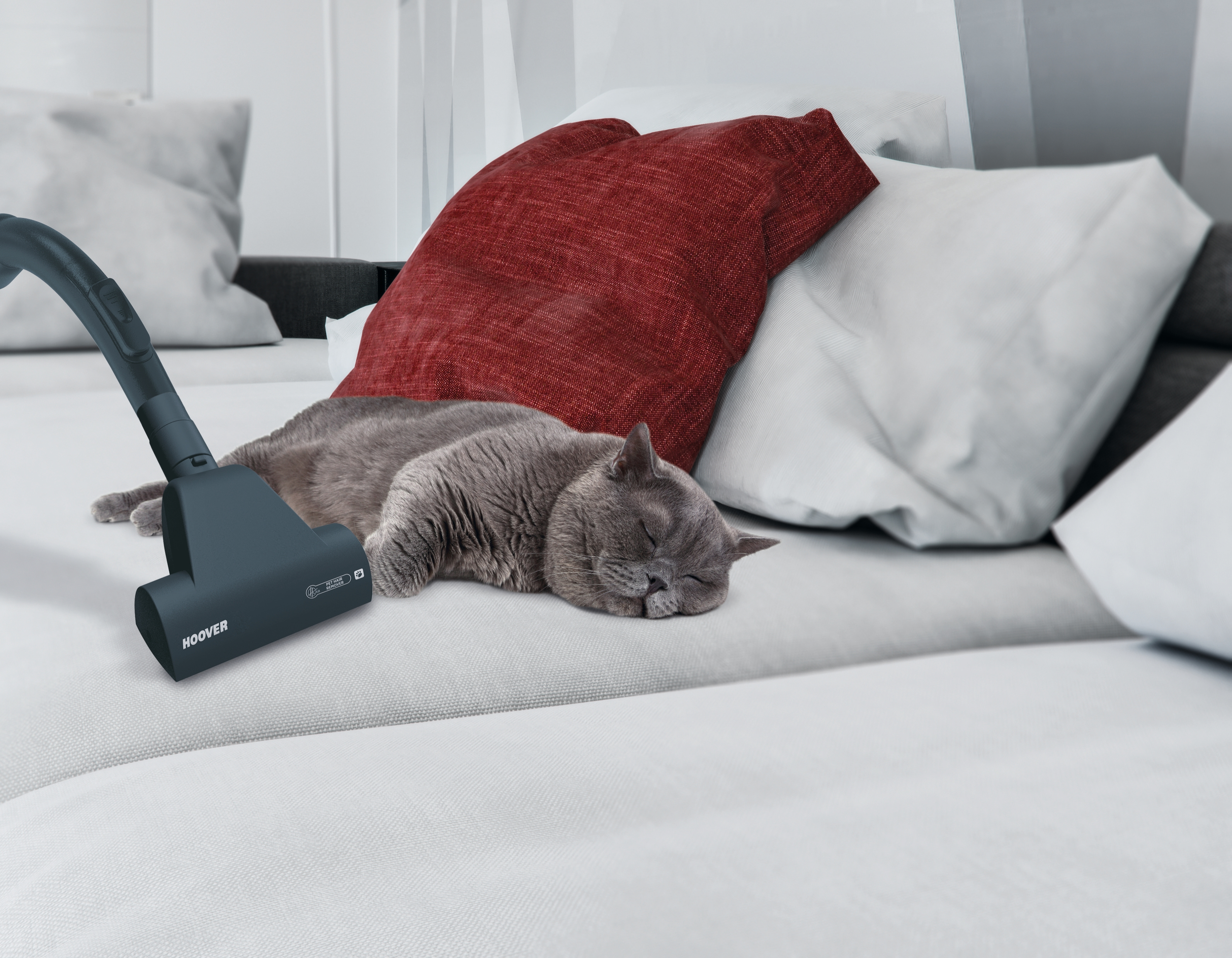 Szary kot śpiący na białej sofie obok czerwonej poduszki i odkurzacza.