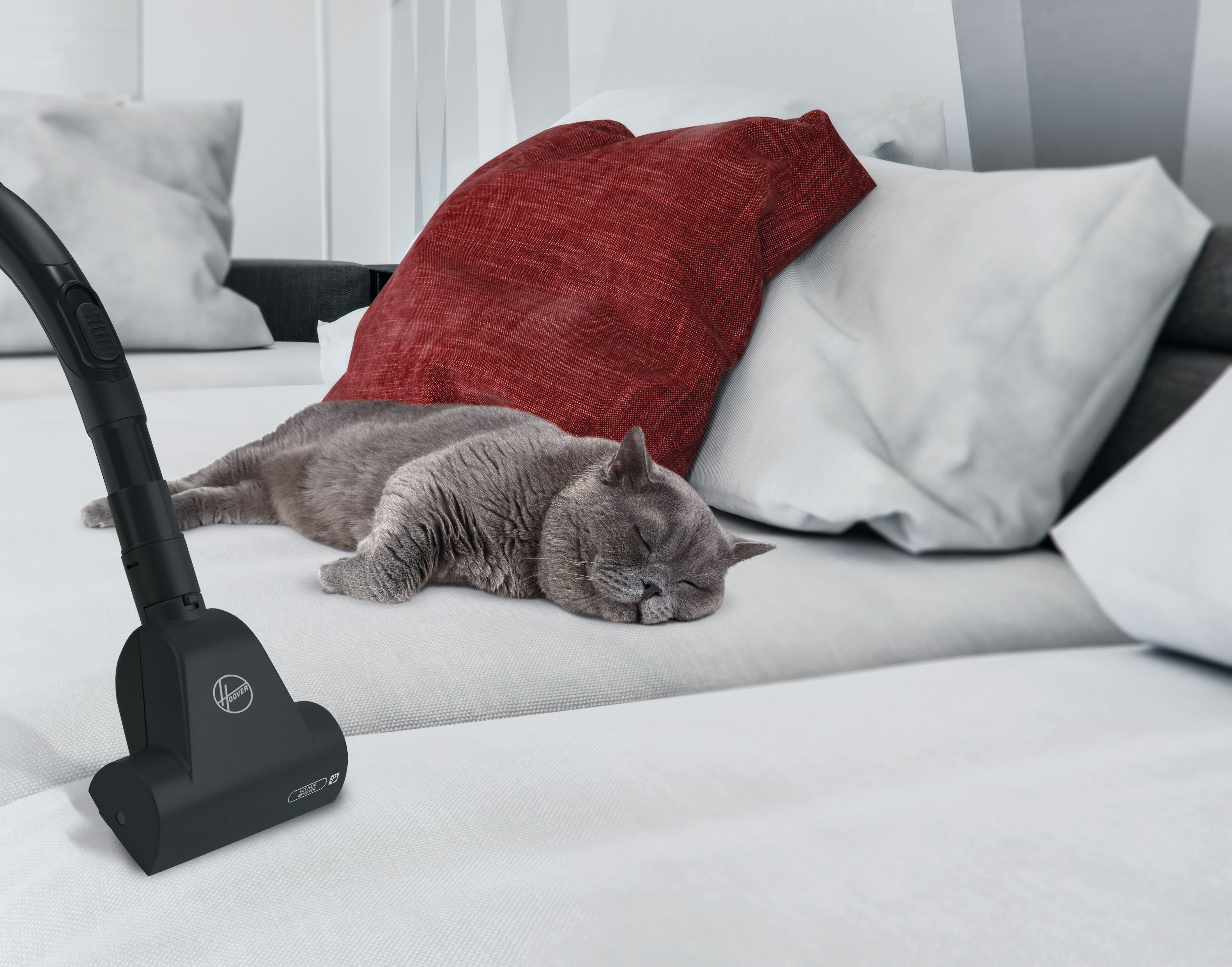 Głowica odkurzacza znajduje się w pobliżu śpiącego szarego kota na białej sofie z czerwonymi poduszkami.