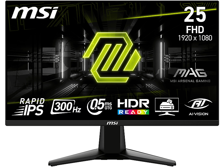 MSI MAG 255XF 24,5 inç Full-HD 0,5 ms 300 Hz Gaming Monitör Siyah