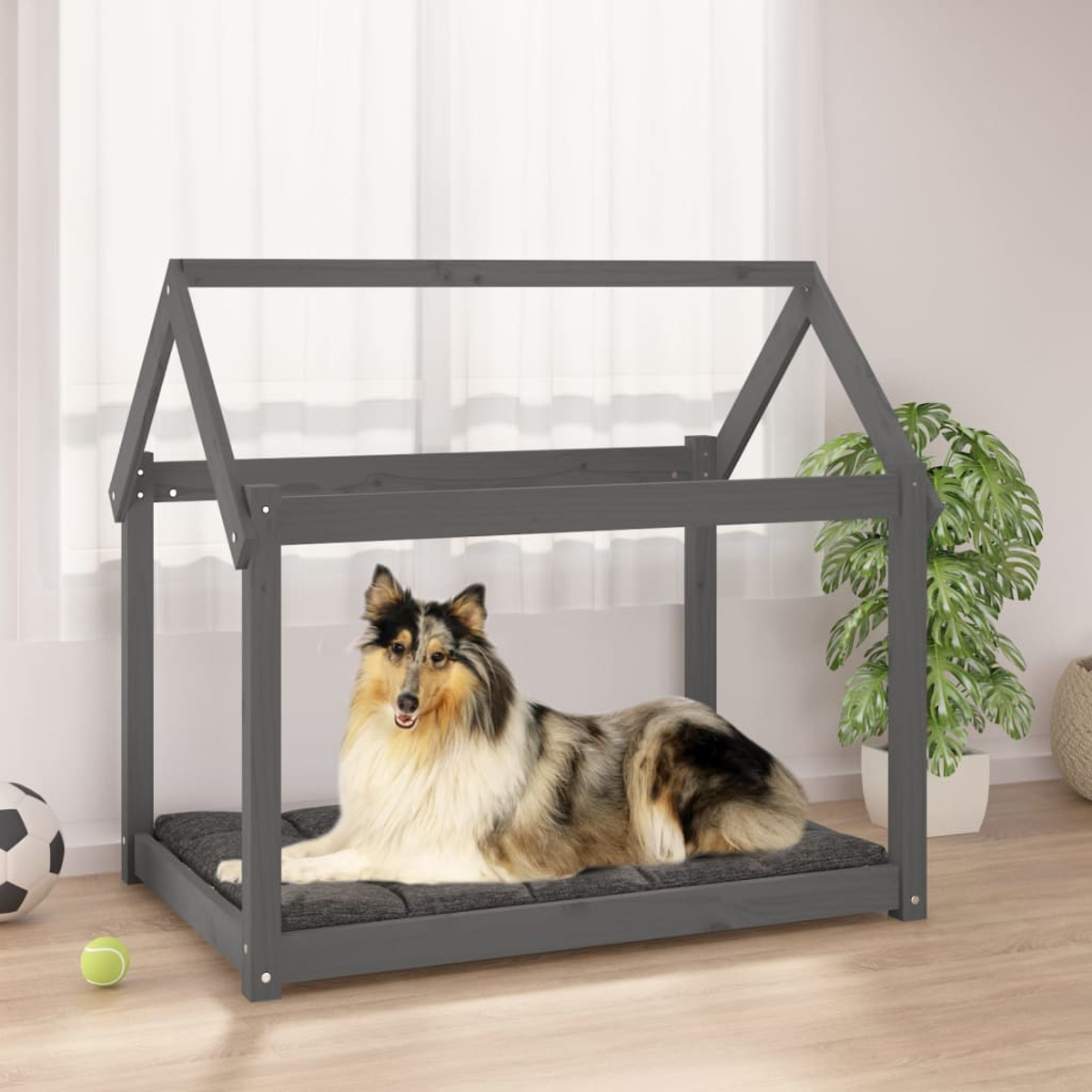 Hund in einem Hundehaus, auf einem Kissen. Der Raum hat eine Pflanze, ein Fenster und einen Fußball.
