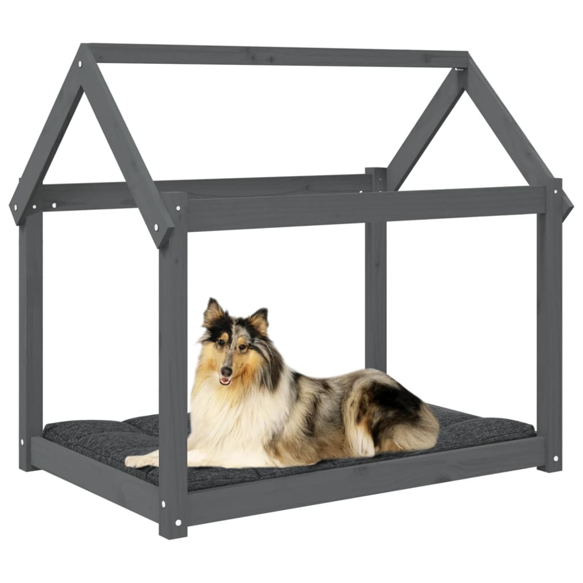 Hund in einem grauen Hundehausrahmen, liegt auf einem dunklen Kissen. Der Hund hat langes Fell.