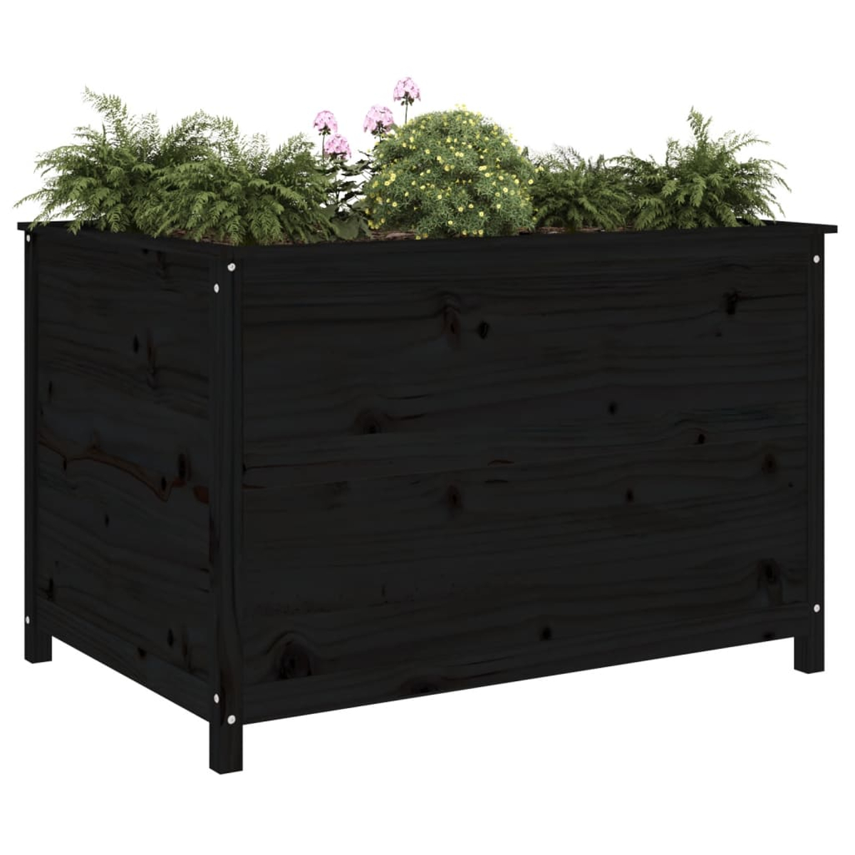 Schwarzer Holzpflanzkasten gefüllt mit Pflanzen, Farnen und Blumen.