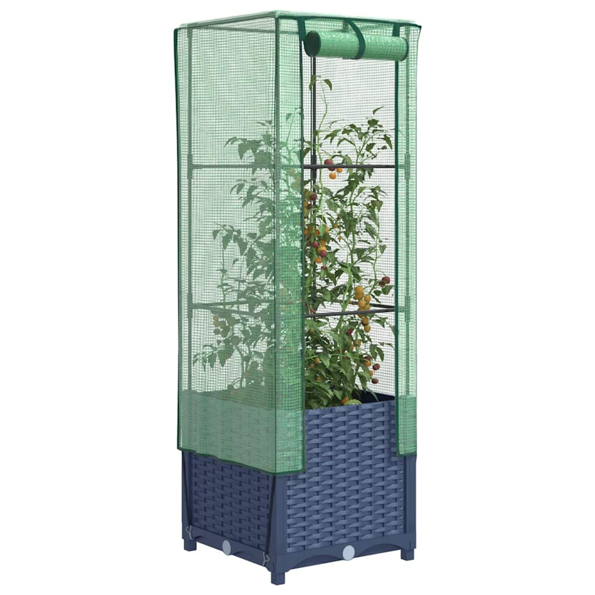 Serra verde con una pianta all'interno di una fioriera grigia. Si trova su sfondo bianco.