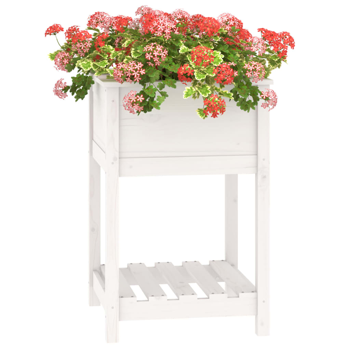Weißer Pflanzkasten mit roten und rosa Blumen. Er hat ein Regal darunter. Isoliert auf weißem Hintergrund.