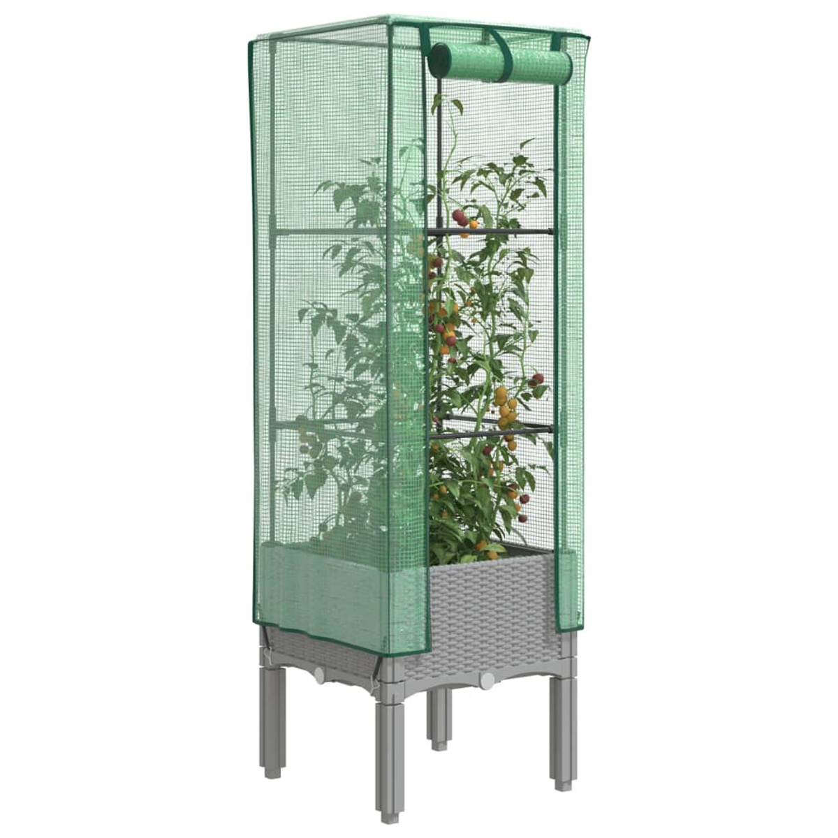 Serra a rete verde con una pianta all'interno. È posizionata su una base grigia e ha una porta in alto.