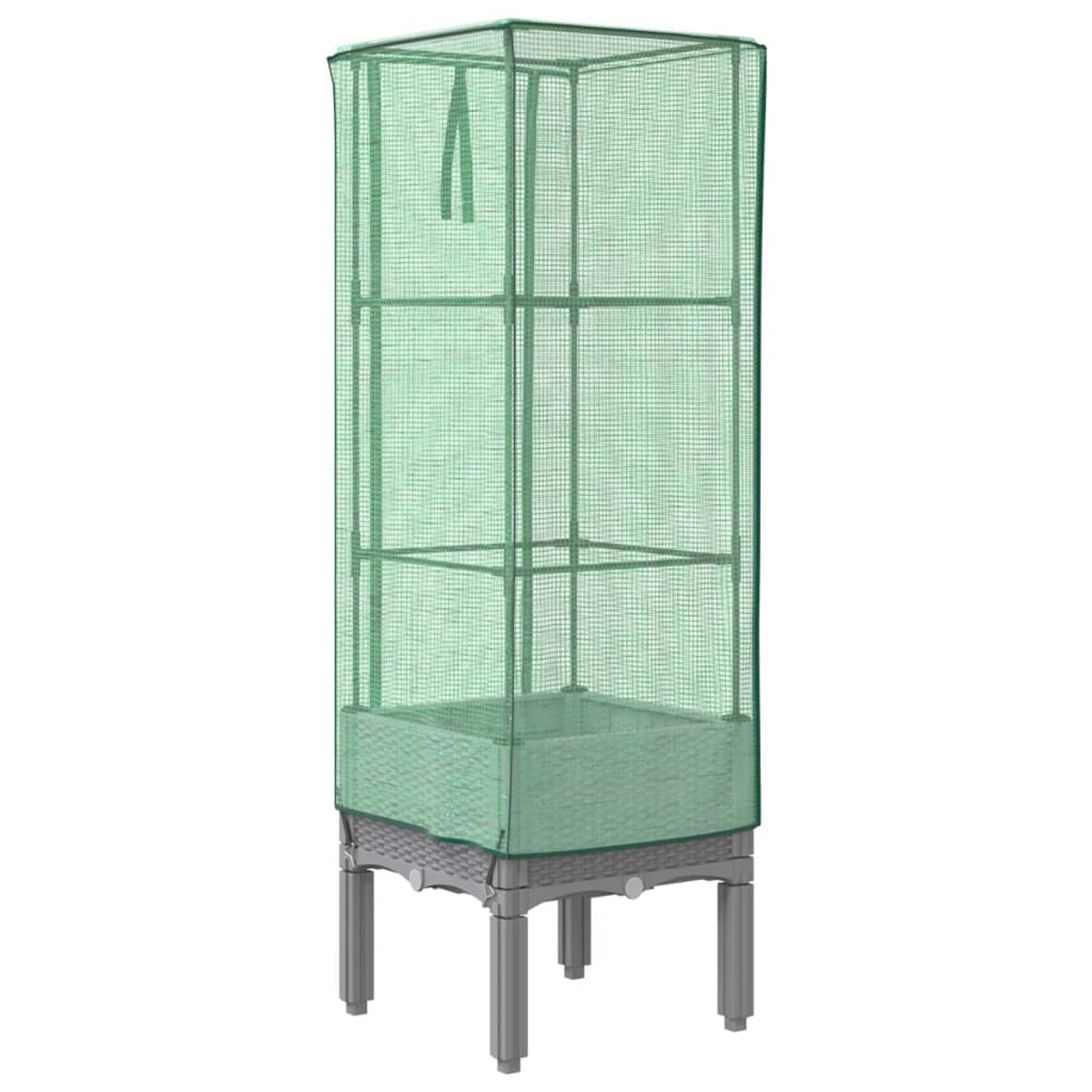 Serra alta e verde. Base intrecciata e ripiani all'interno. Isolato su sfondo bianco.