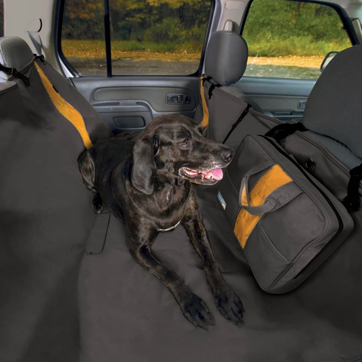 Ein schwarzer Hund sitzt in einem Auto mit einem schützenden Sitzbezug. Eine Tasche ist auf dem Rücksitz.