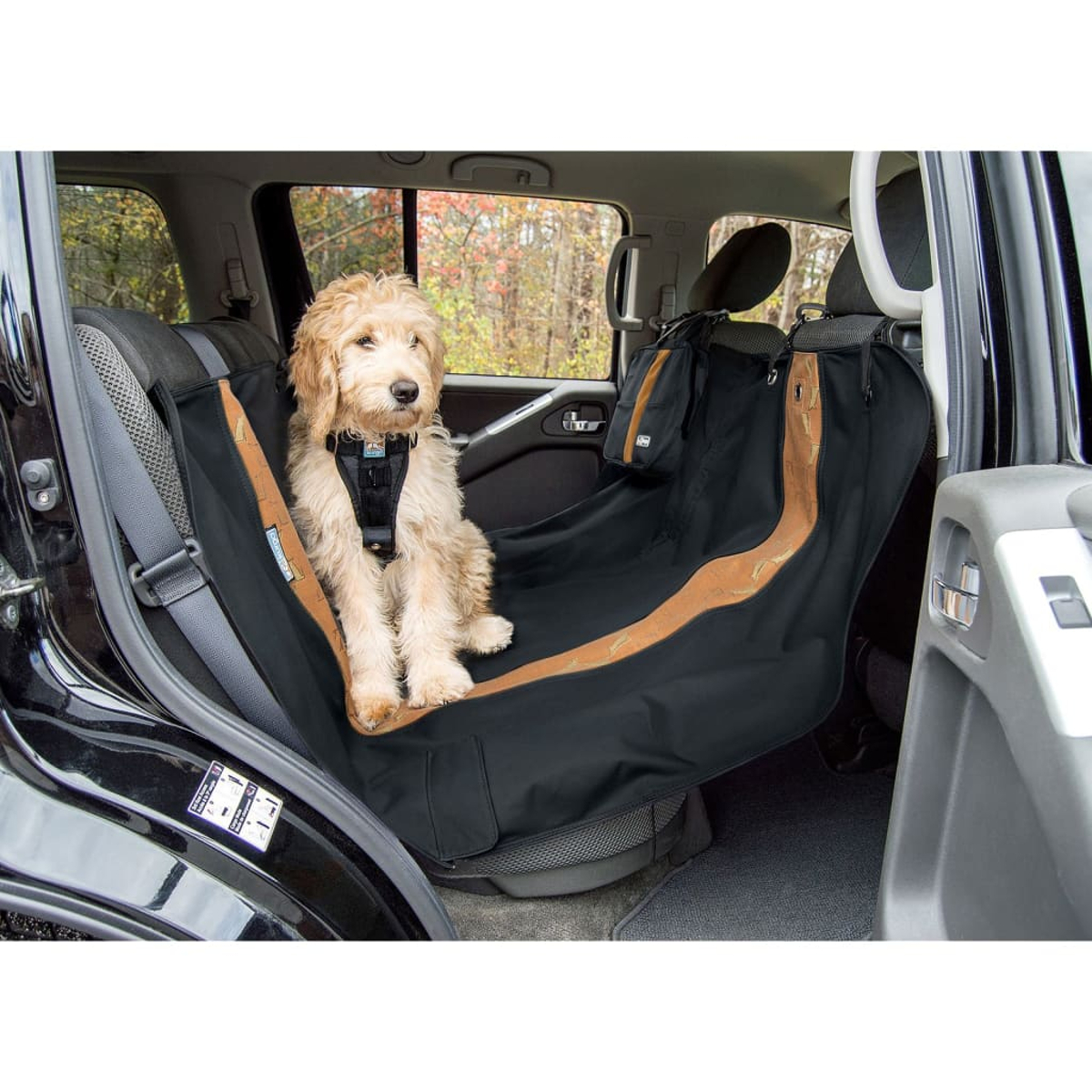 Hund sitzt auf der Rückbank eines Autos, mit schwarzem Sitzbezug. Der Innenraum des Autos ist sichtbar.