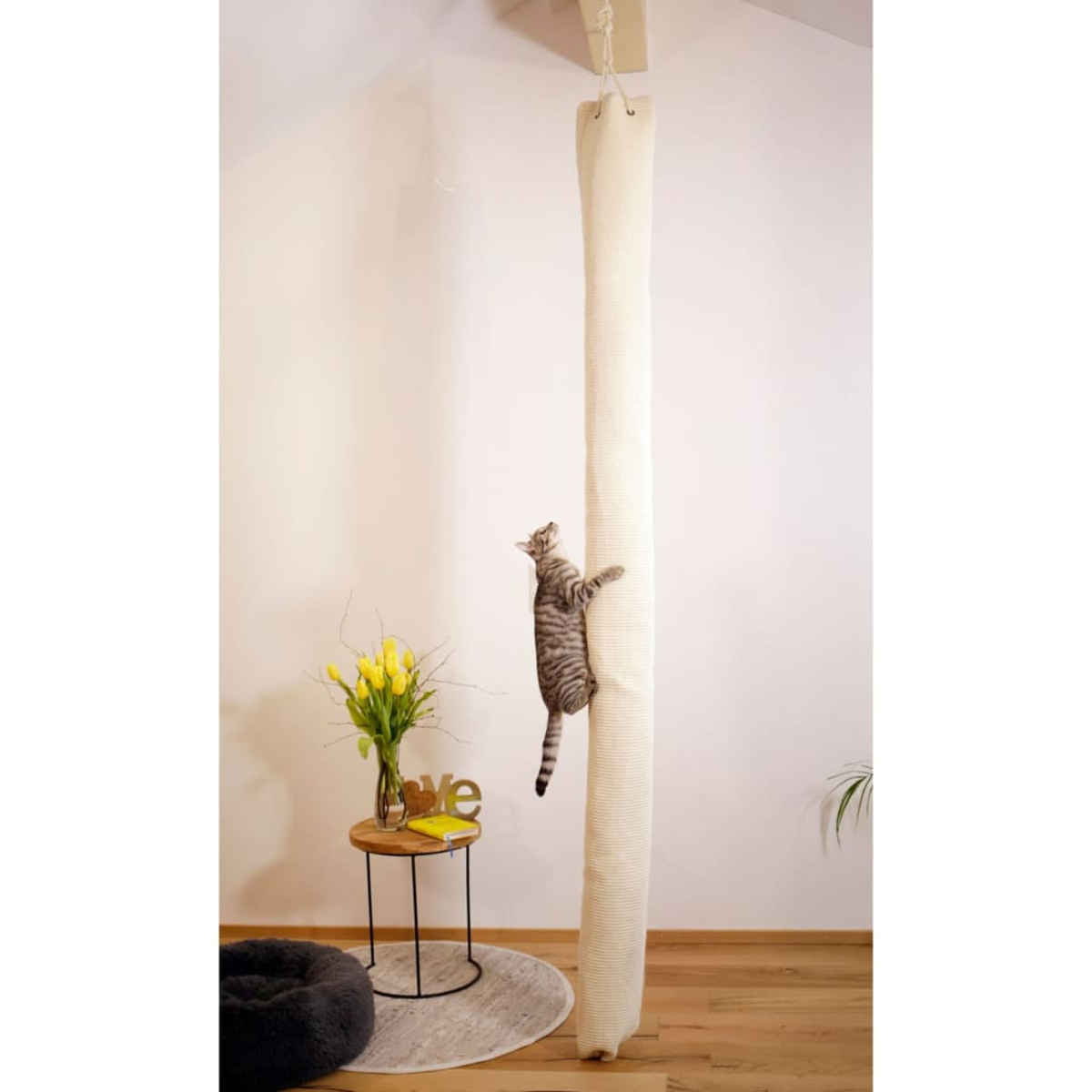 Eine Katze, die einen hohen, beigen Kratzbaum neben einem Tisch mit Blumen hochklettert.