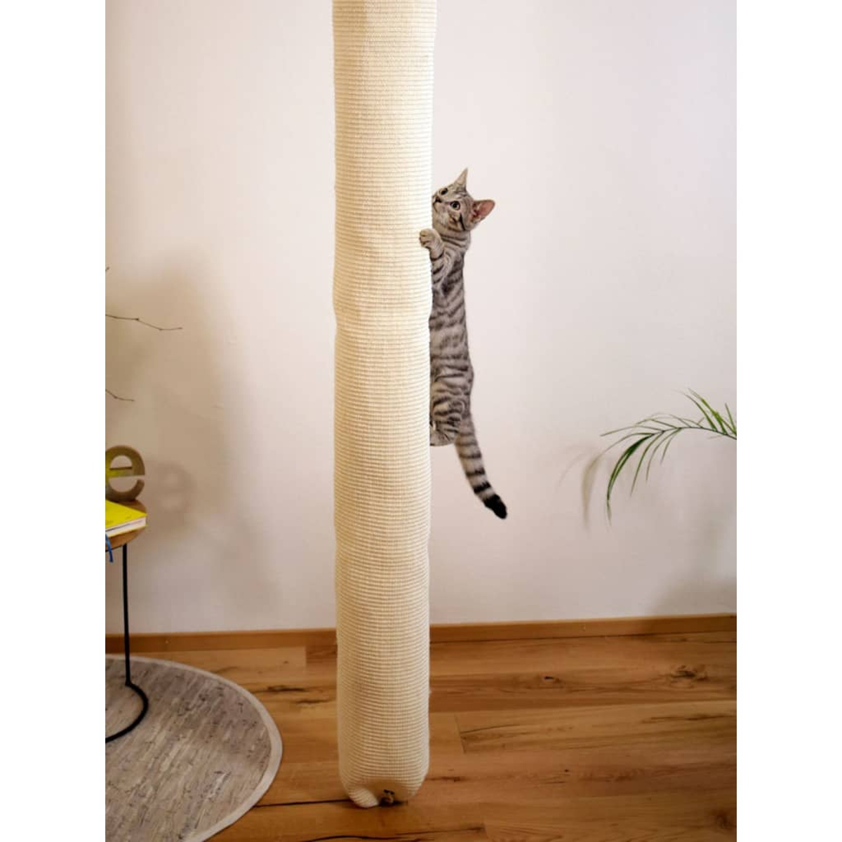 Eine Katze klettert an einem Kratzbaum hoch. Die Katze ist grau und weiß, der Pfosten cremefarben.