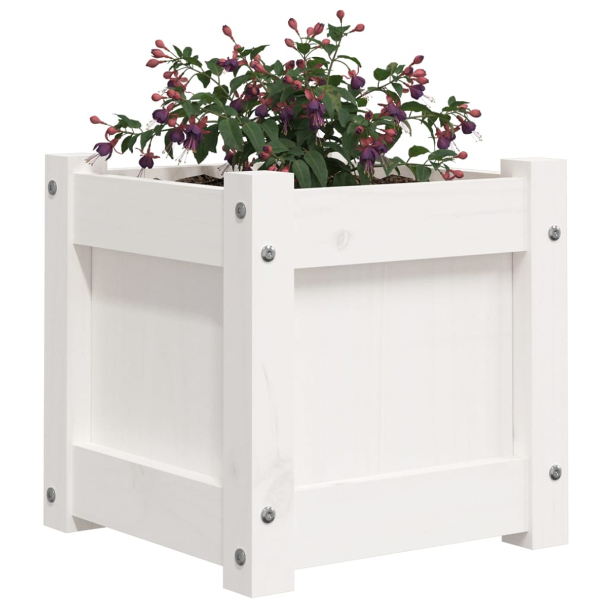 Ein weißer, quadratischer Pflanzkübel mit einer Pflanze mit roten und lila Blüten. Der Pflanzkübel ist quadratisch geformt.
