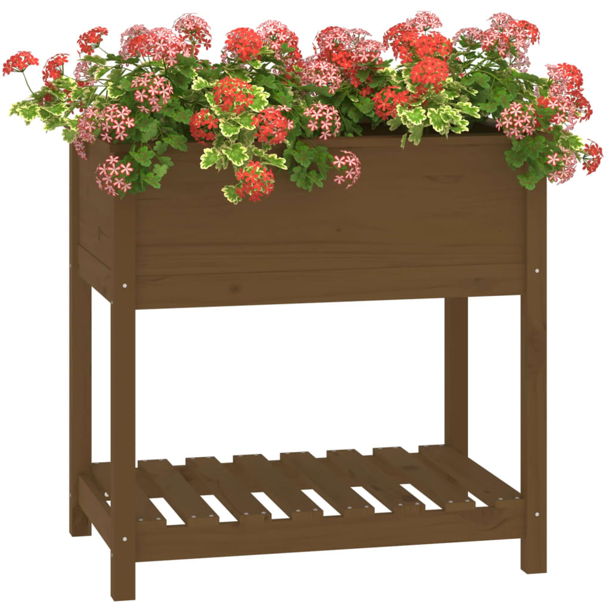 Holz-Pflanzkasten mit roten und grünen Blumen und unterem Regal. Weißer Hintergrund.