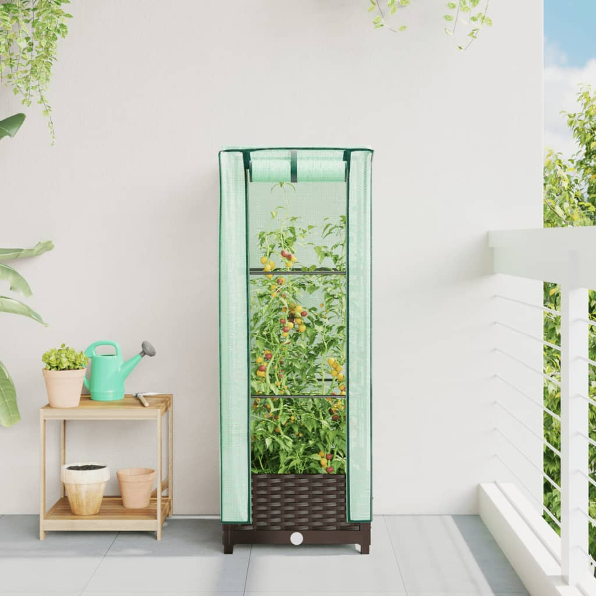 Una pianta di pomodoro in una serra verde su un balcone.