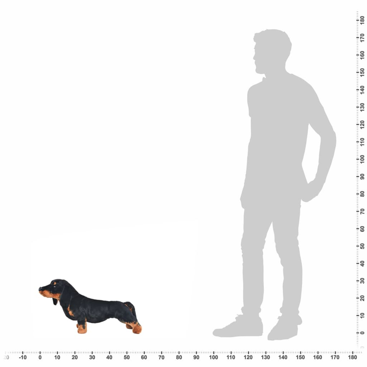 Dackel-Spielzeug neben einer menschlichen Silhouette. Weißer Hintergrund mit Skala.