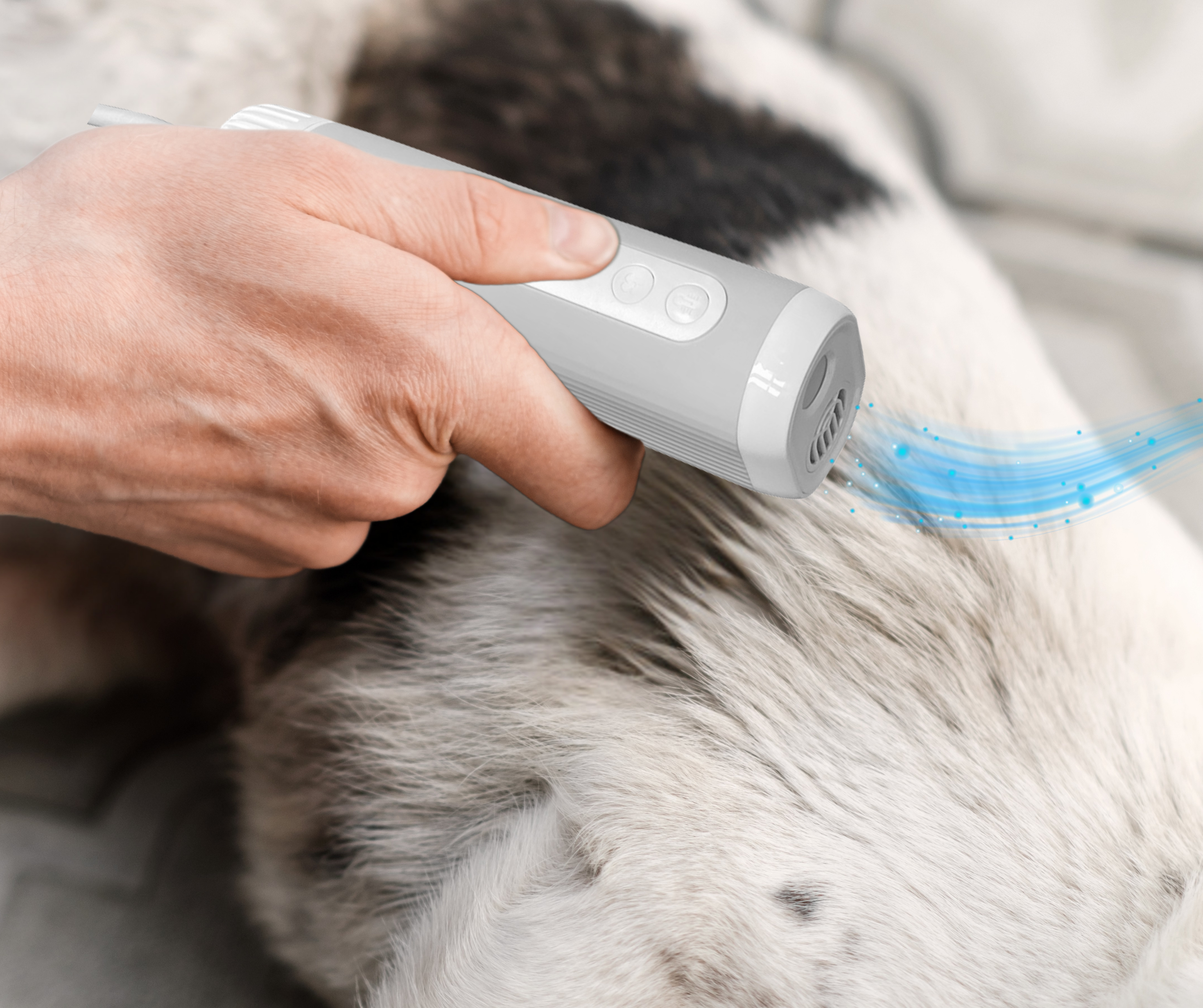 Una mano che usa uno strumento per la toelettatura degli animali su un cane. Lo strumento è grigio e ha aria blu.