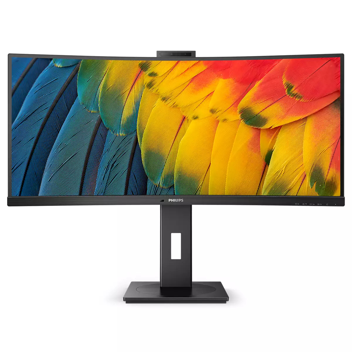 Un monitor curvo mostra piume colorate.