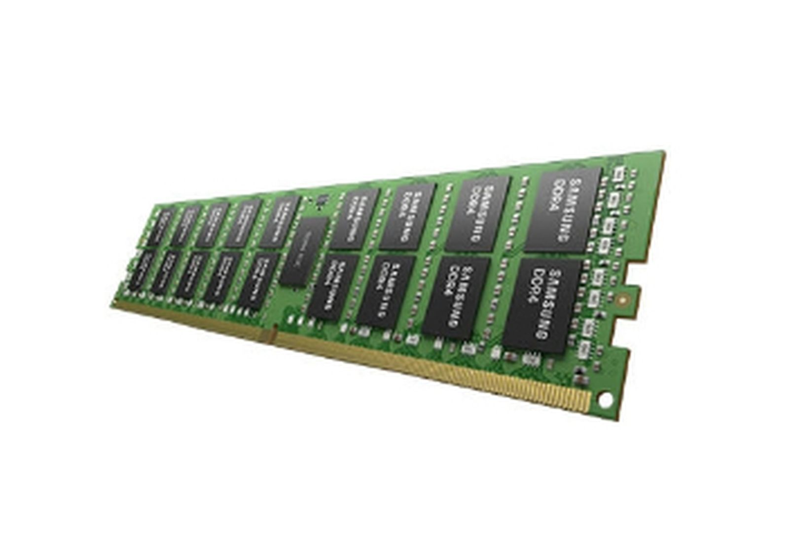 Stick RAM verde con chip e etichette nere. La RAM è su sfondo bianco.