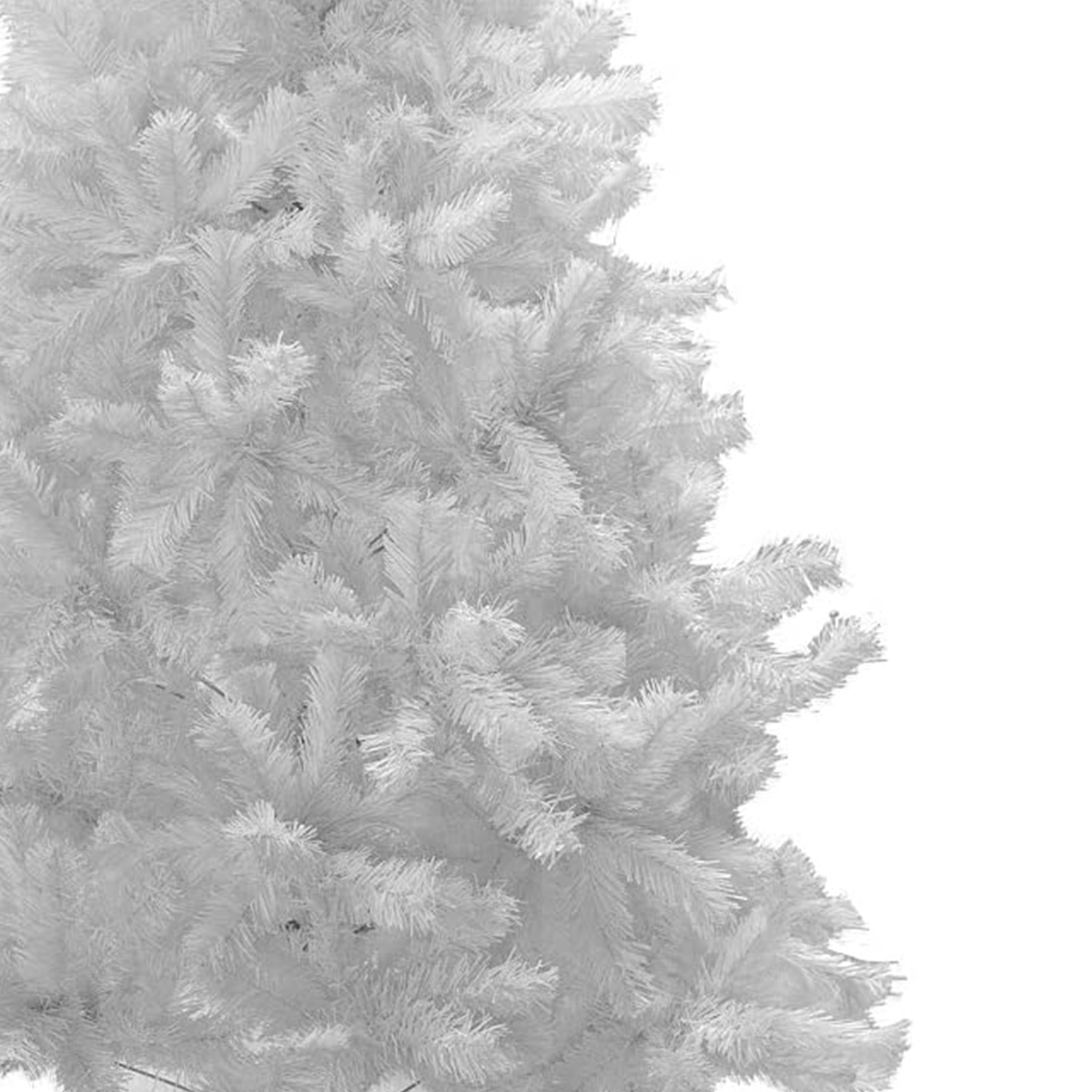 Ramas blancas de árbol de Navidad, vista de cerca. Fondo blanco. Enfoque en las agujas.