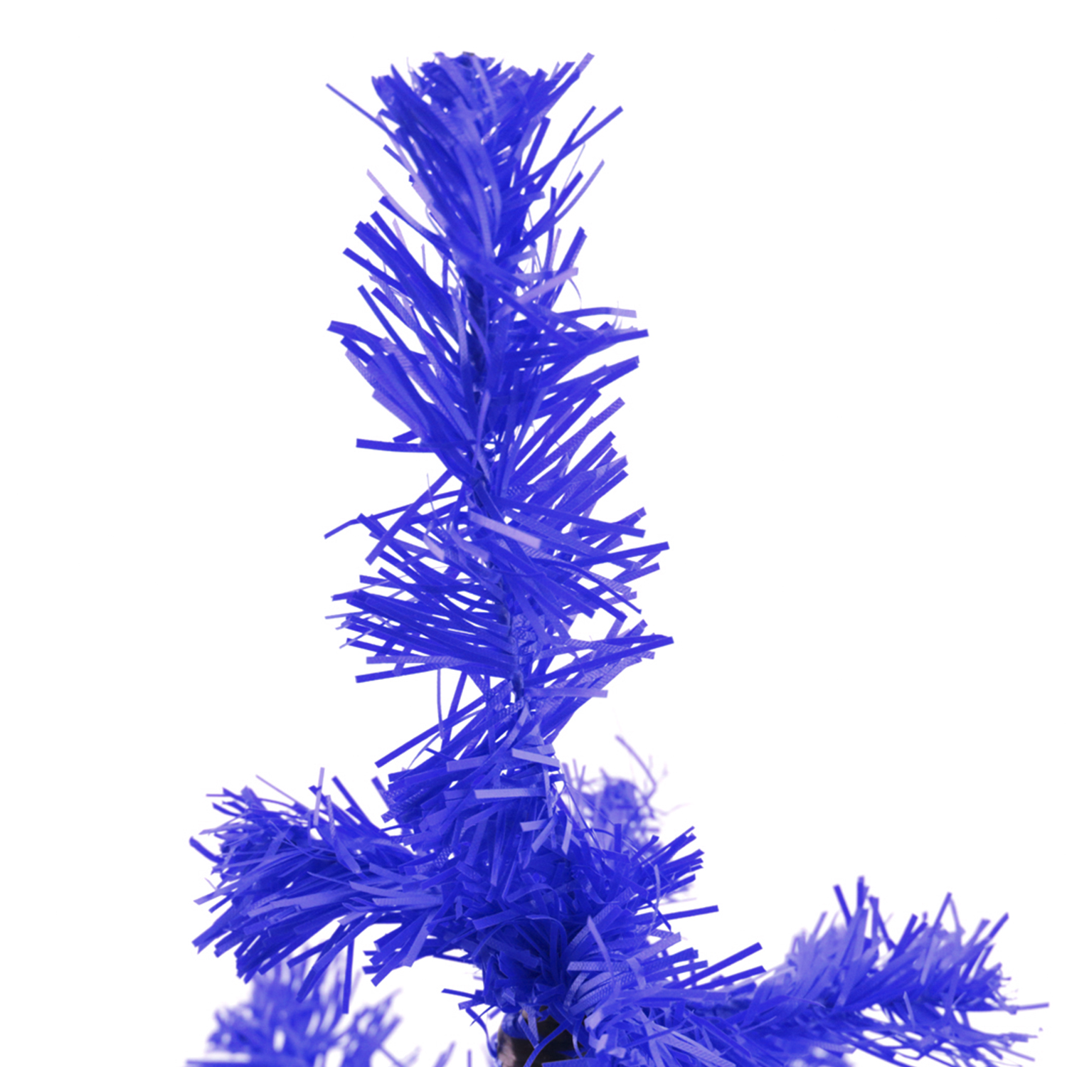 Ramas azules de árbol de Navidad, vista de cerca. Fondo blanco. Enfoque en las agujas.