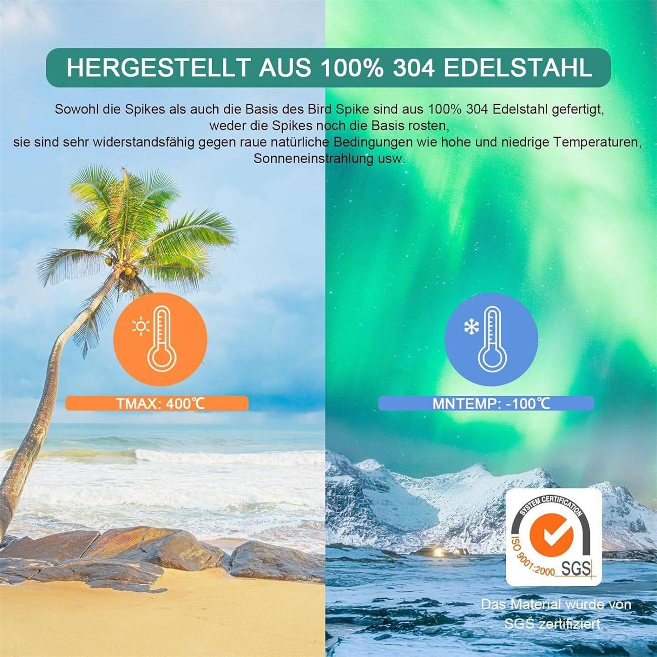 Bild zeigt eine Palme am Strand und eine schneebedeckte Berglandschaft mit Temperaturanzeigen.