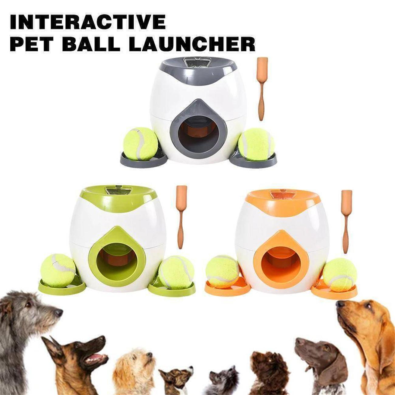 Interaktiver Haustier-Ballwerfer. Weiße, grüne und orange Geräte mit Tennisbällen. Hunde davor.