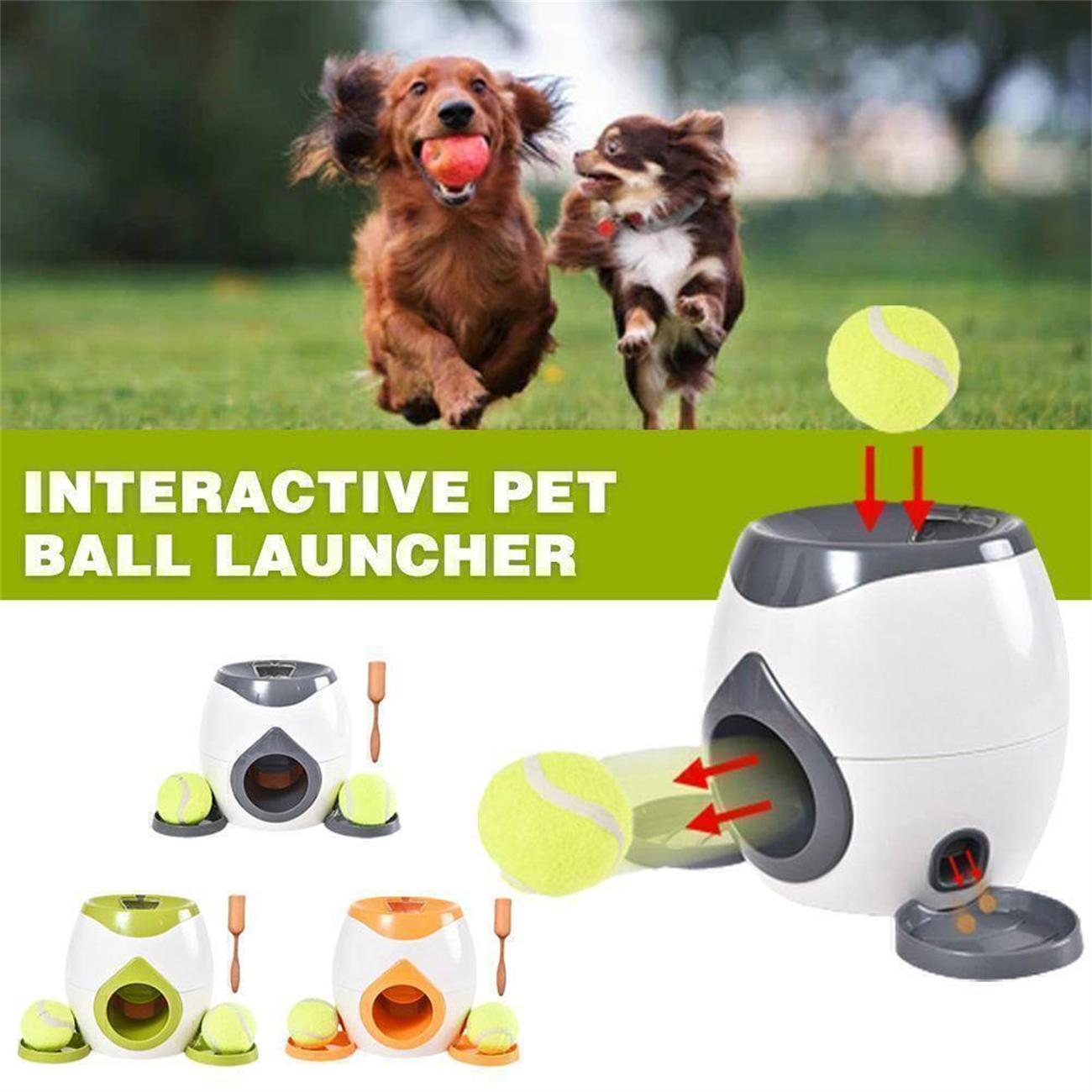 Zwei Hunde rennen auf einen interaktiven Haustier-Ballwerfer zu, mit Bällen und Werfern.