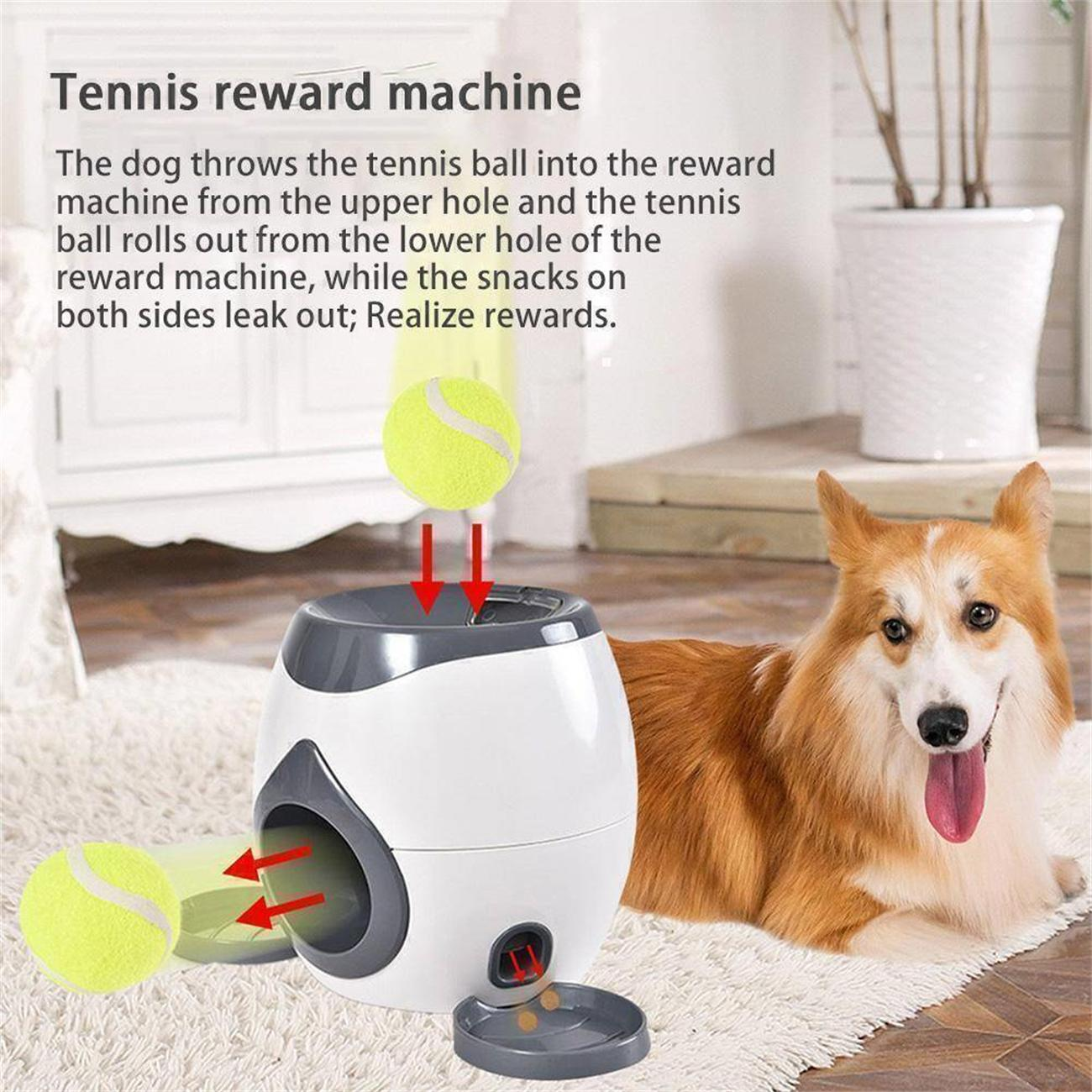 Hund mit Spielzeug. Der Hund wirft einen Ball in eine Maschine. Die Maschine gibt einen Ball und Leckerlis aus.