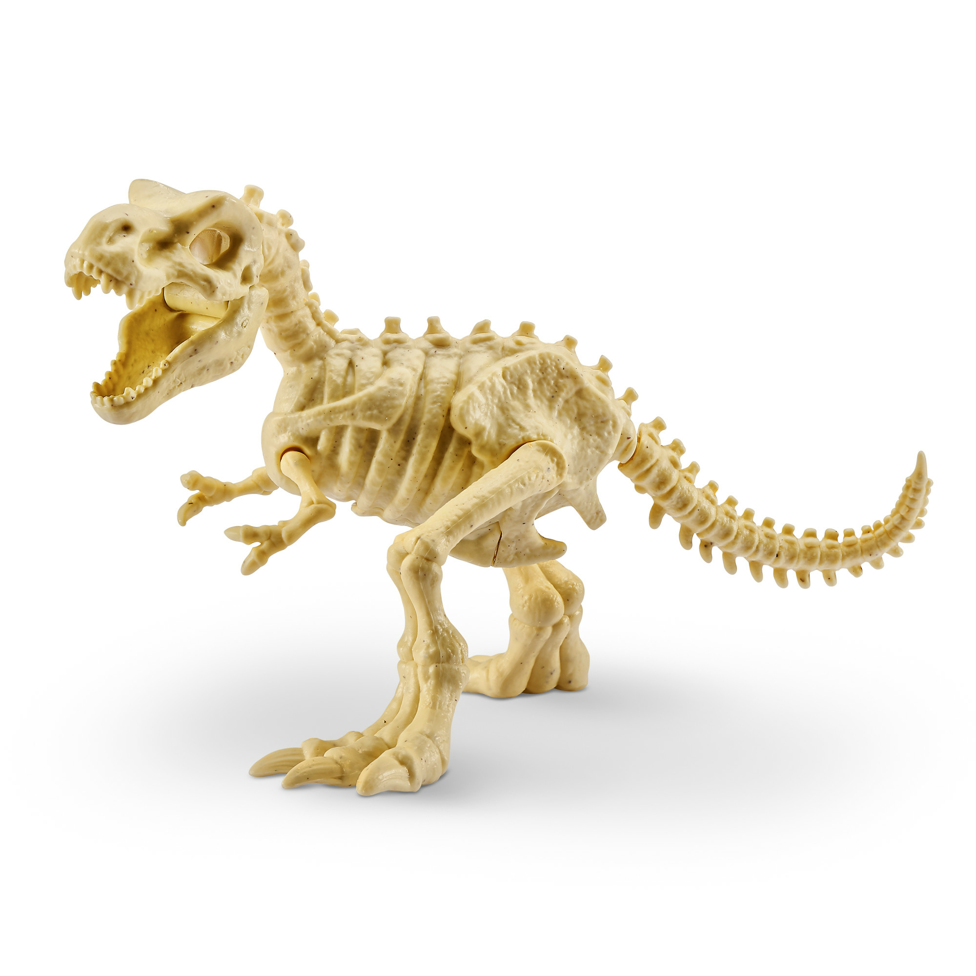Dinosaurus skelet speelgoed in bruine kleur. Het skelet poseert op een witte achtergrond, met de mond open.