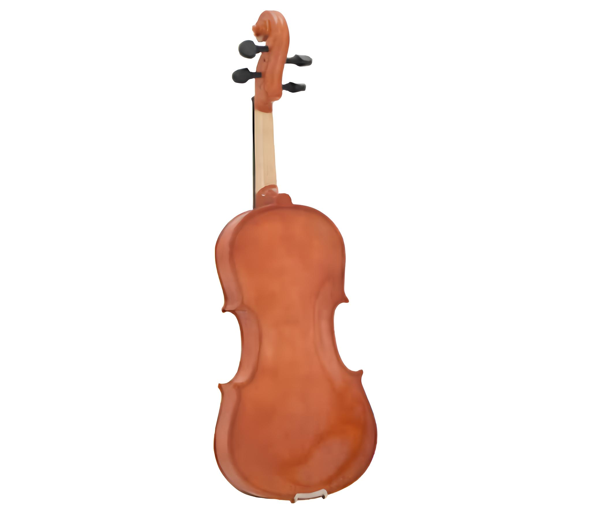 Rückansicht einer braunen Violine auf weißem Hintergrund. Die Violine steht aufrecht.