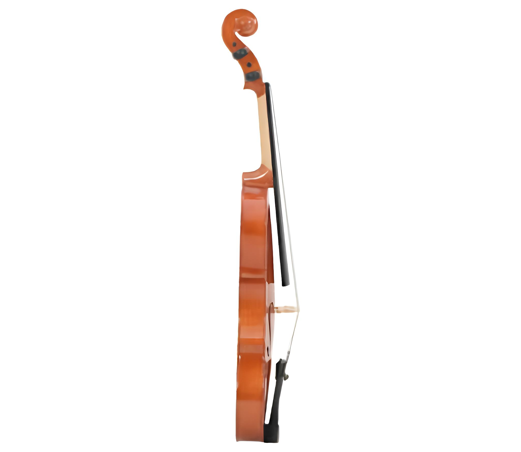 Eine Holzvioline im Profil, die Korpus, Hals, Saiten und Schnecke zeigt.
