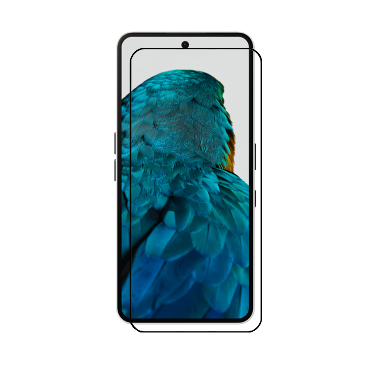 Telefoon met een schermbeschermer, met een papegaai-afbeelding. De telefoon staat tegen een witte achtergrond.