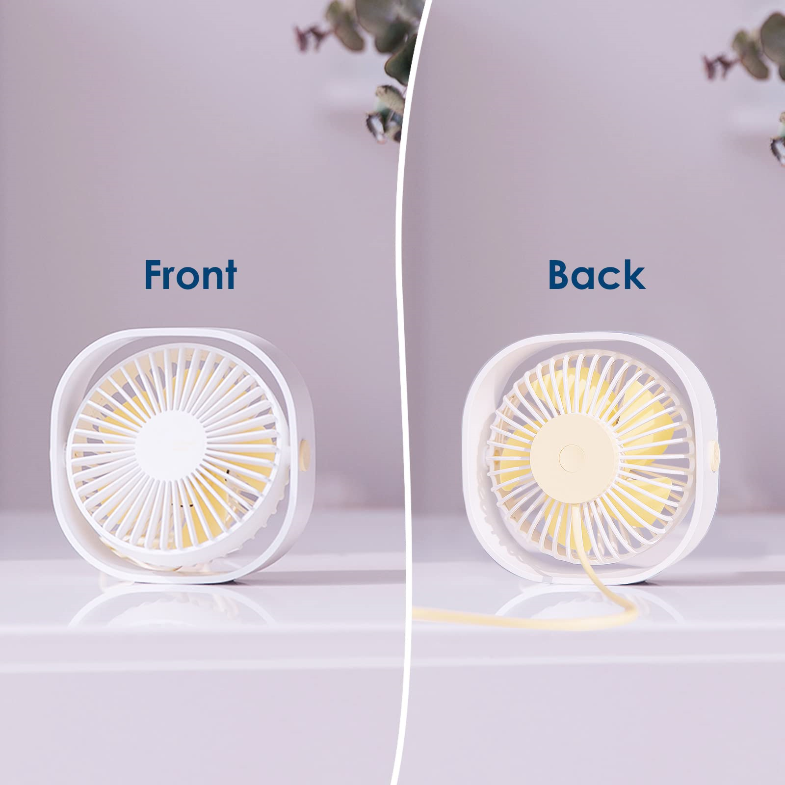 Weißer Ventilator, Vorder- und Rückansicht. Vorderseite zeigt Blätter, Rückseite Blätter. Weiße Oberfläche.