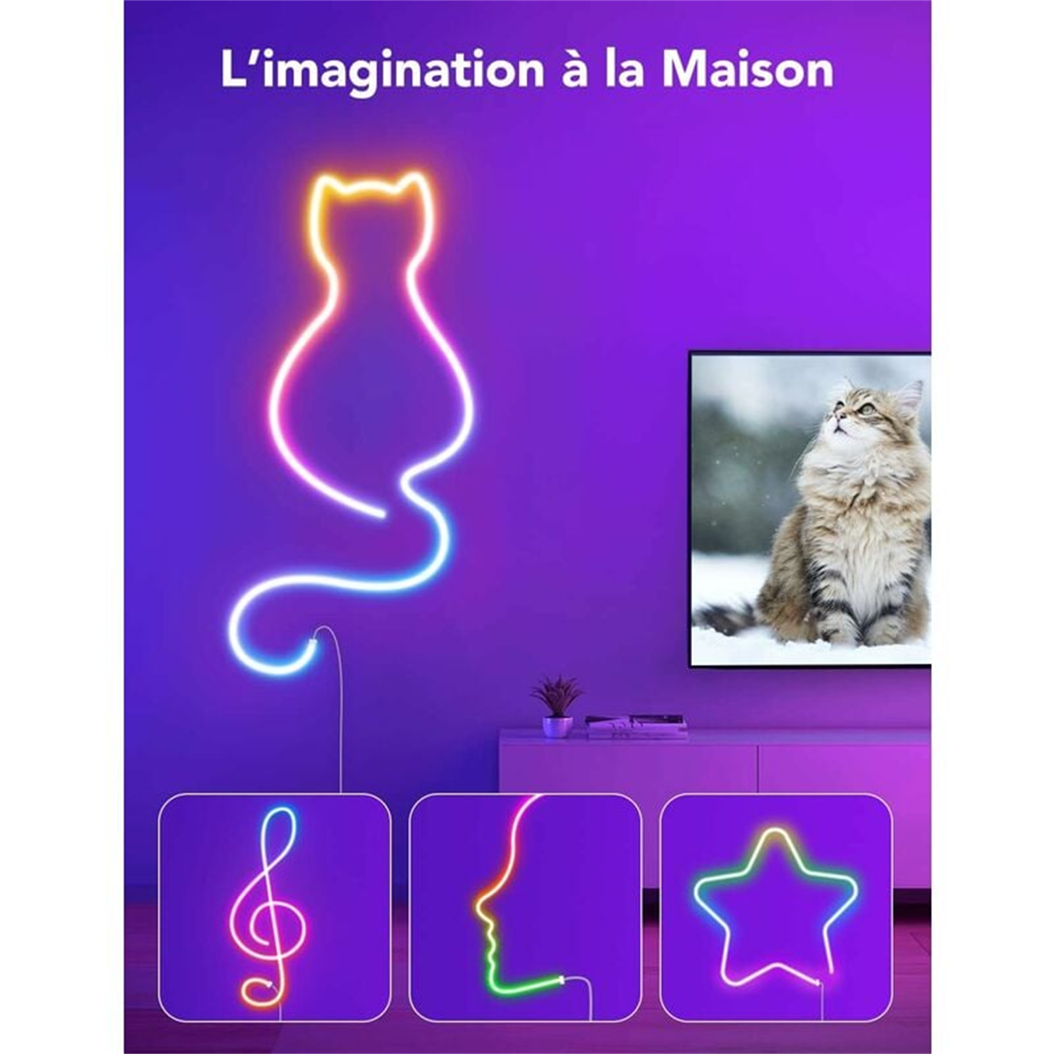 Wand mit Katzen-Neonlicht, TV mit Katzenbild, drei Neonformen.