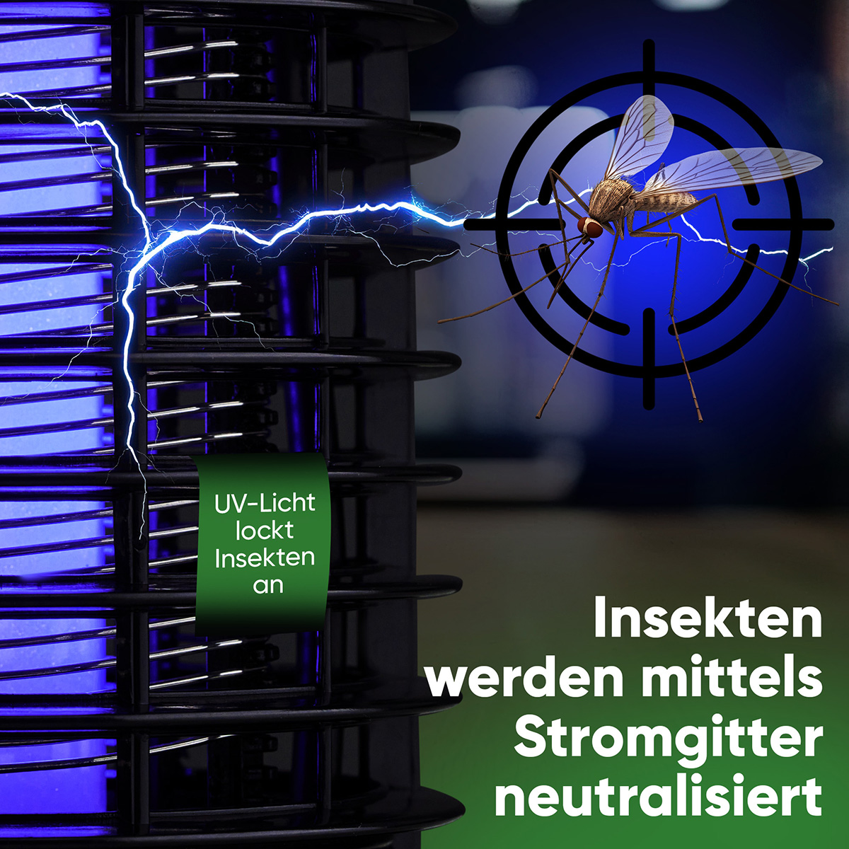 Zbliżenie na zaperacz owadów, z celem na owada. Emitowane jest niebieskie światło.